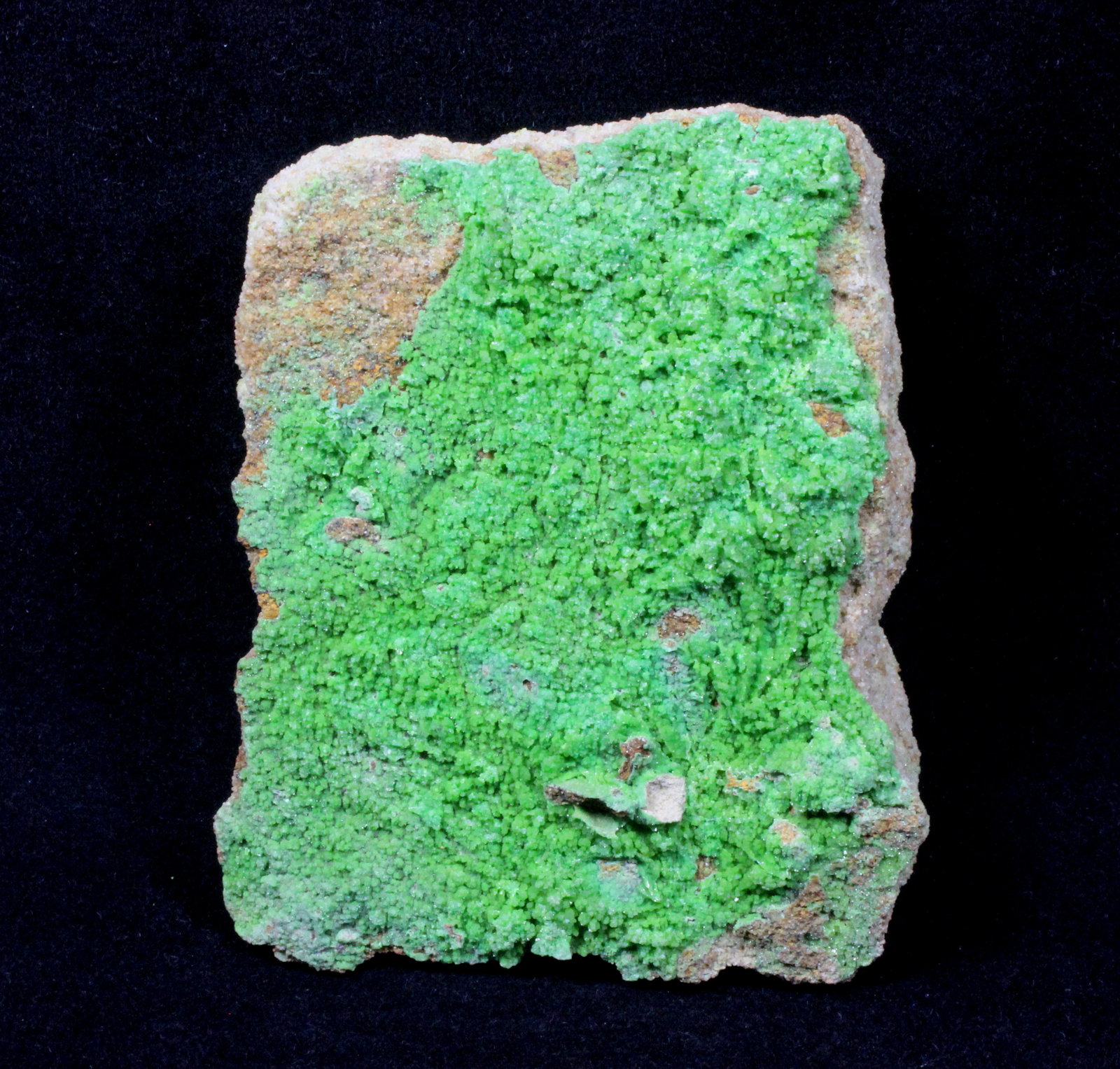 Pyromorphite
93 mm x 75 mm x 30 mm
(Autor: Don Lum)