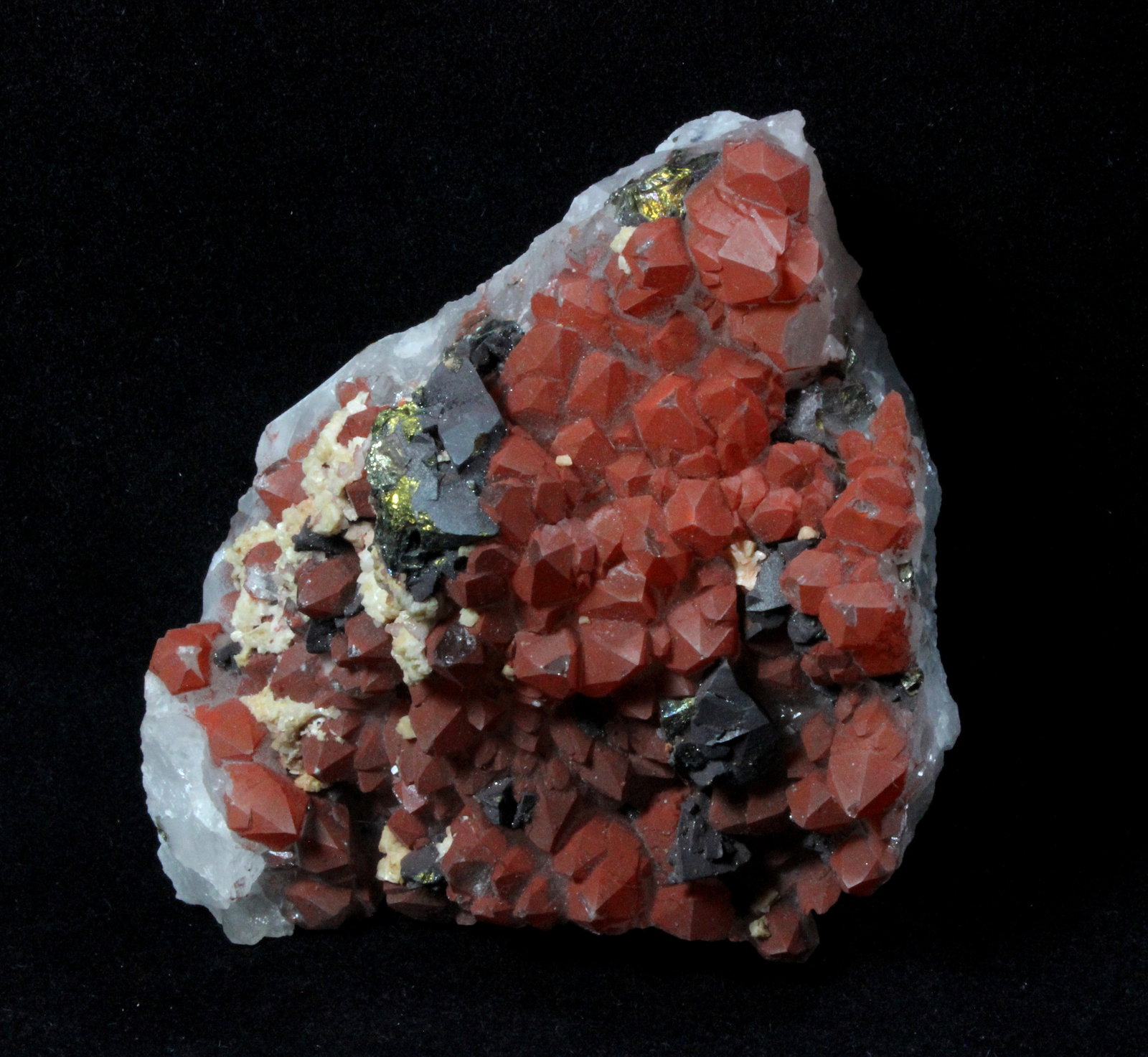 Quartz, Chalcopyrite
93 mm x 72 mm x 45 mm
(Autor: Don Lum)