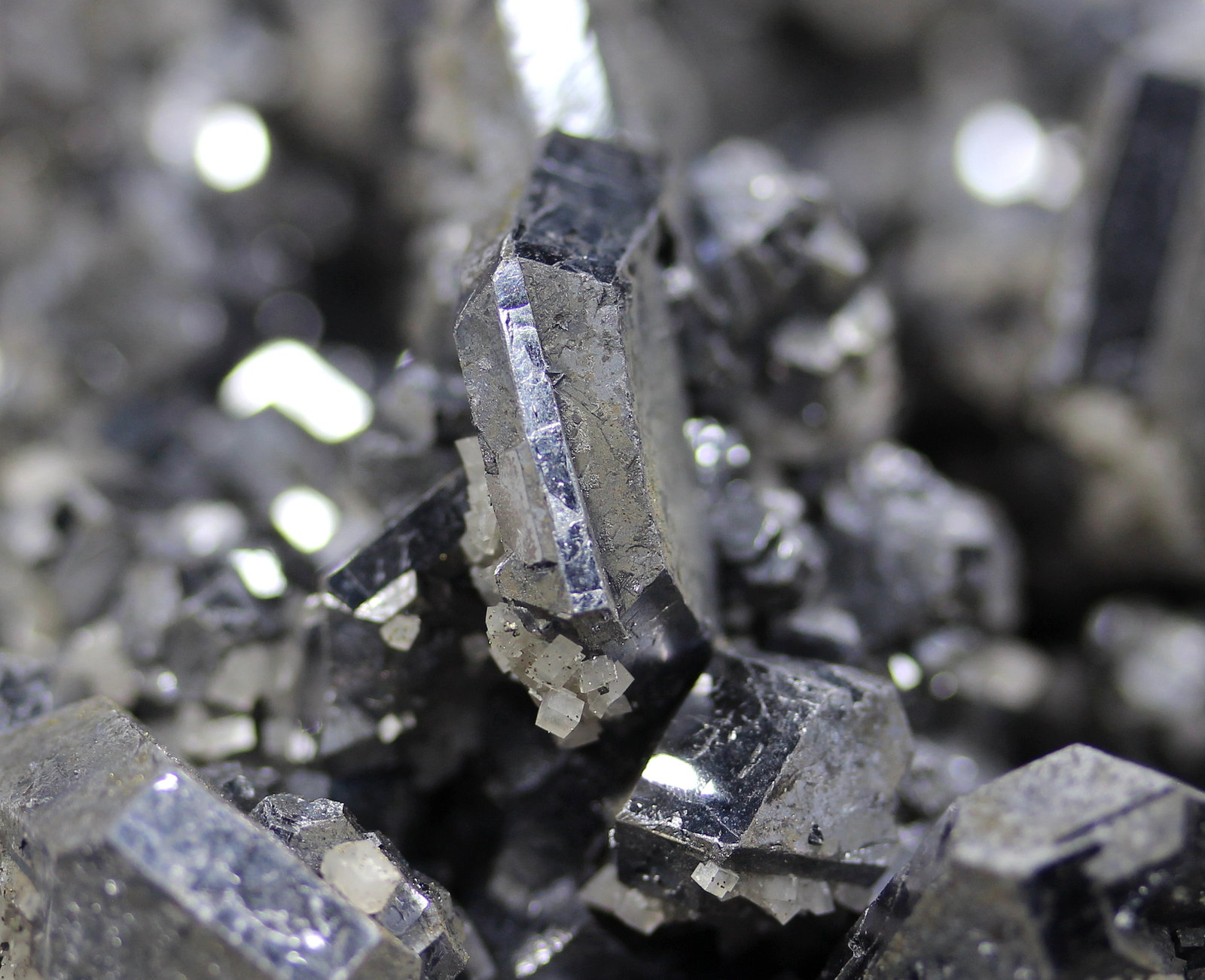Galena, Dolomite, Chalcopyrite
210 mm x 135 mm x 135 mm
(Autor: Don Lum)