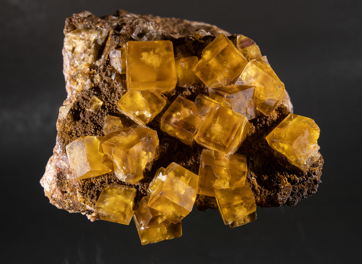 9.4cm X 7.7cm
(Autor: Richard Arseneau)