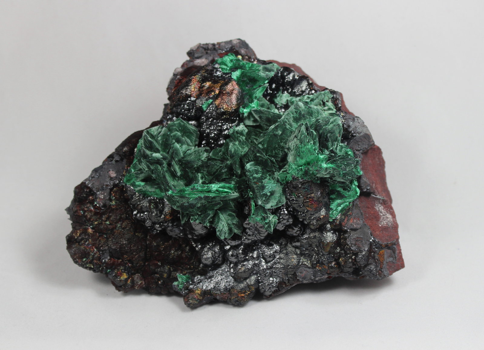 Malachite after Azurite, Goethite
15 cm x 12 cm x 9 cm
(Autor: Don Lum)