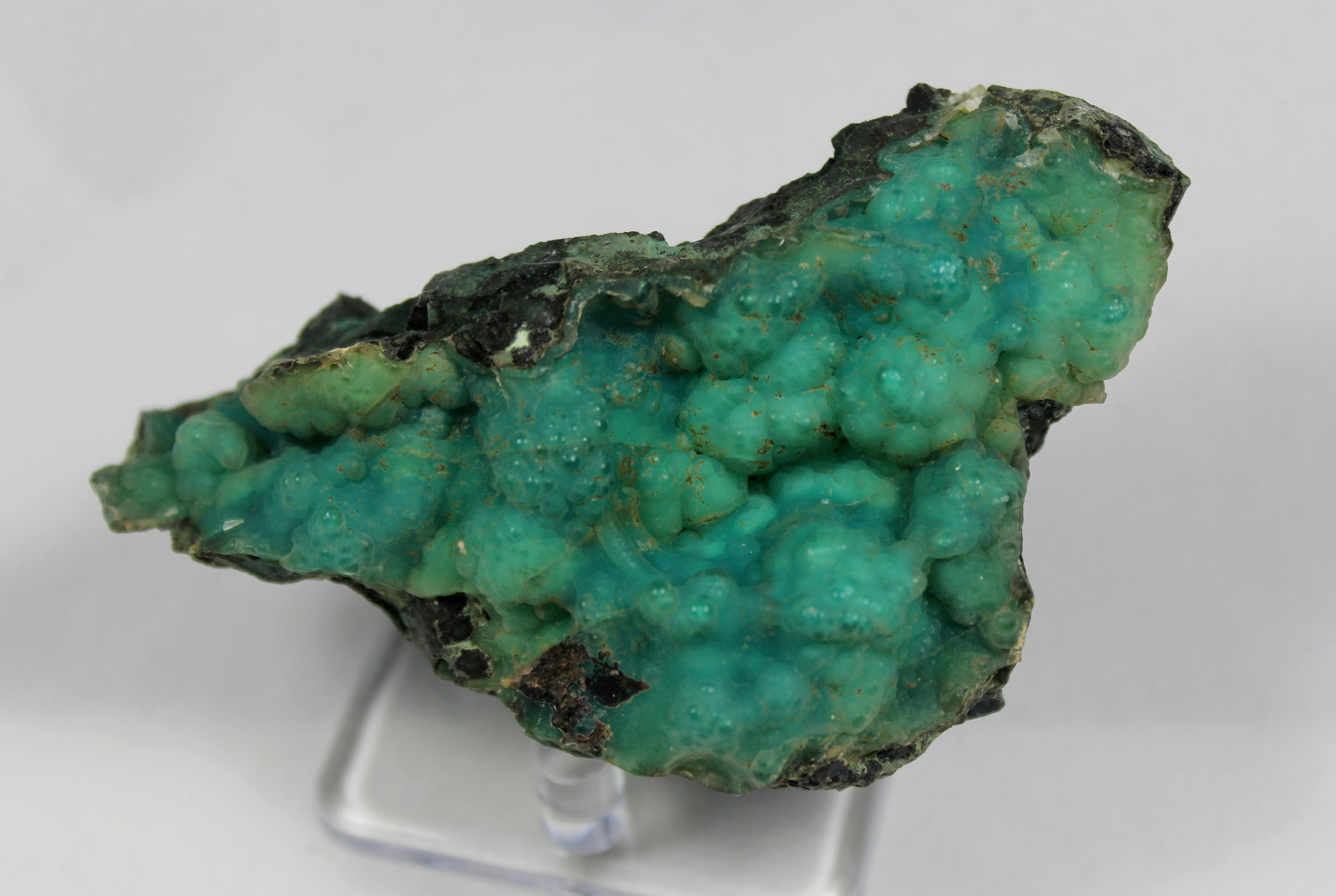 Quartz (variety chalcedony), Chrysocolla
94 mm x 52 mm 34 mm
(Autor: Don Lum)