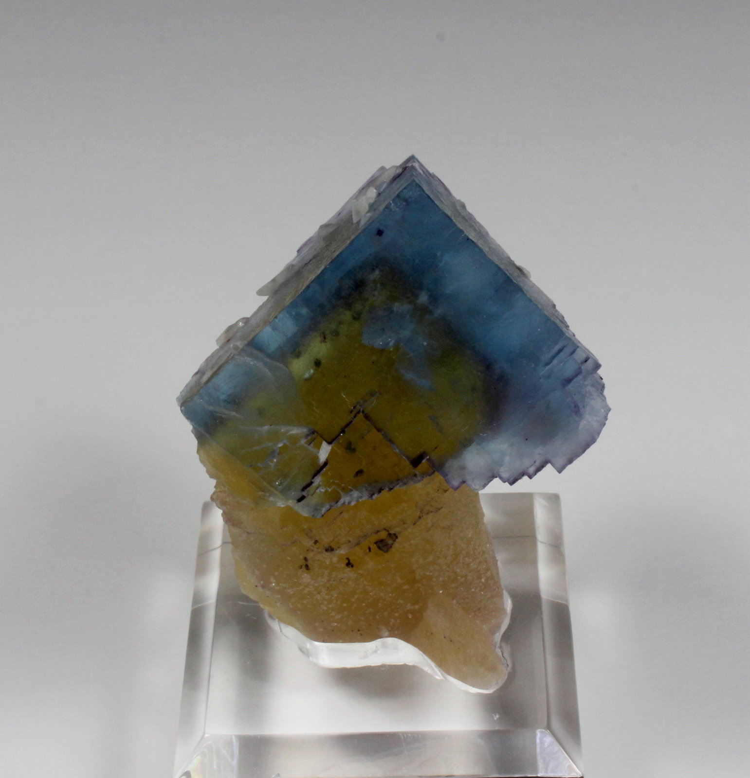 Fluorite, Calcite
78 mm x 51 mm x 48 mm
(Autor: Don Lum)