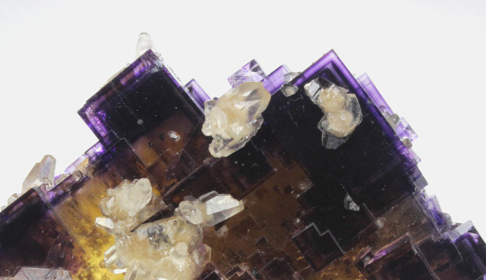 Fluorite, Calcite
74 mm x 60 mm x 49 mm
(Autor: Don Lum)
