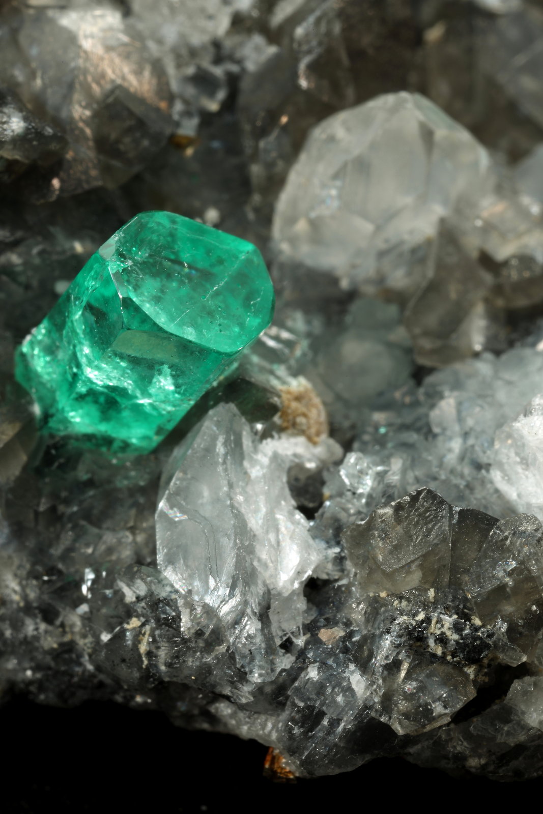 Beryl (variety emerald), Calcite, Dolomite, Pyrite, Quartz
66x49x24mm, main xl=6x4mm
(Autor: Fiebre Verde)