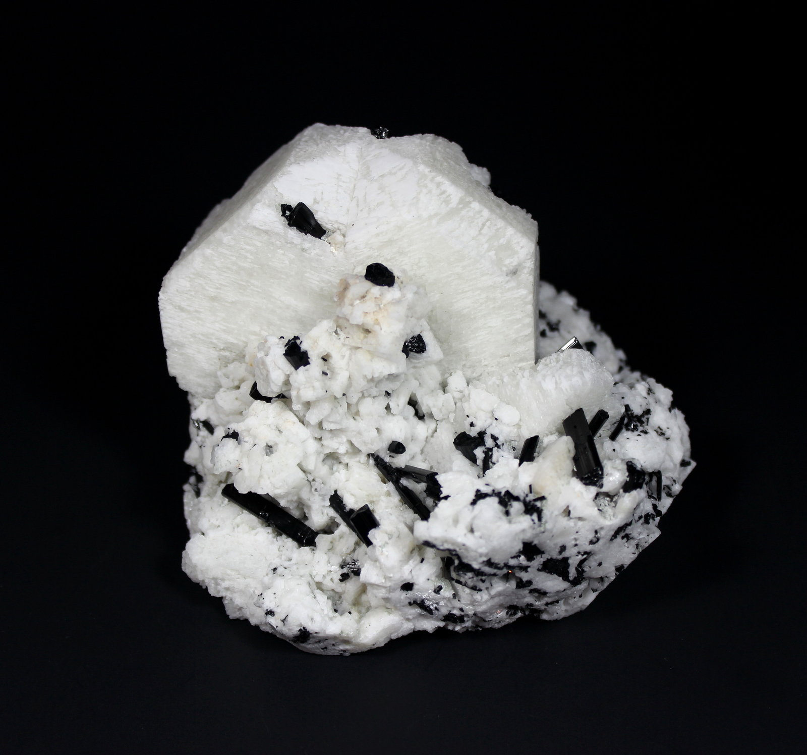 Microcline, Schorl
137 mm x 115 mm x 82 mm
(Autor: Don Lum)