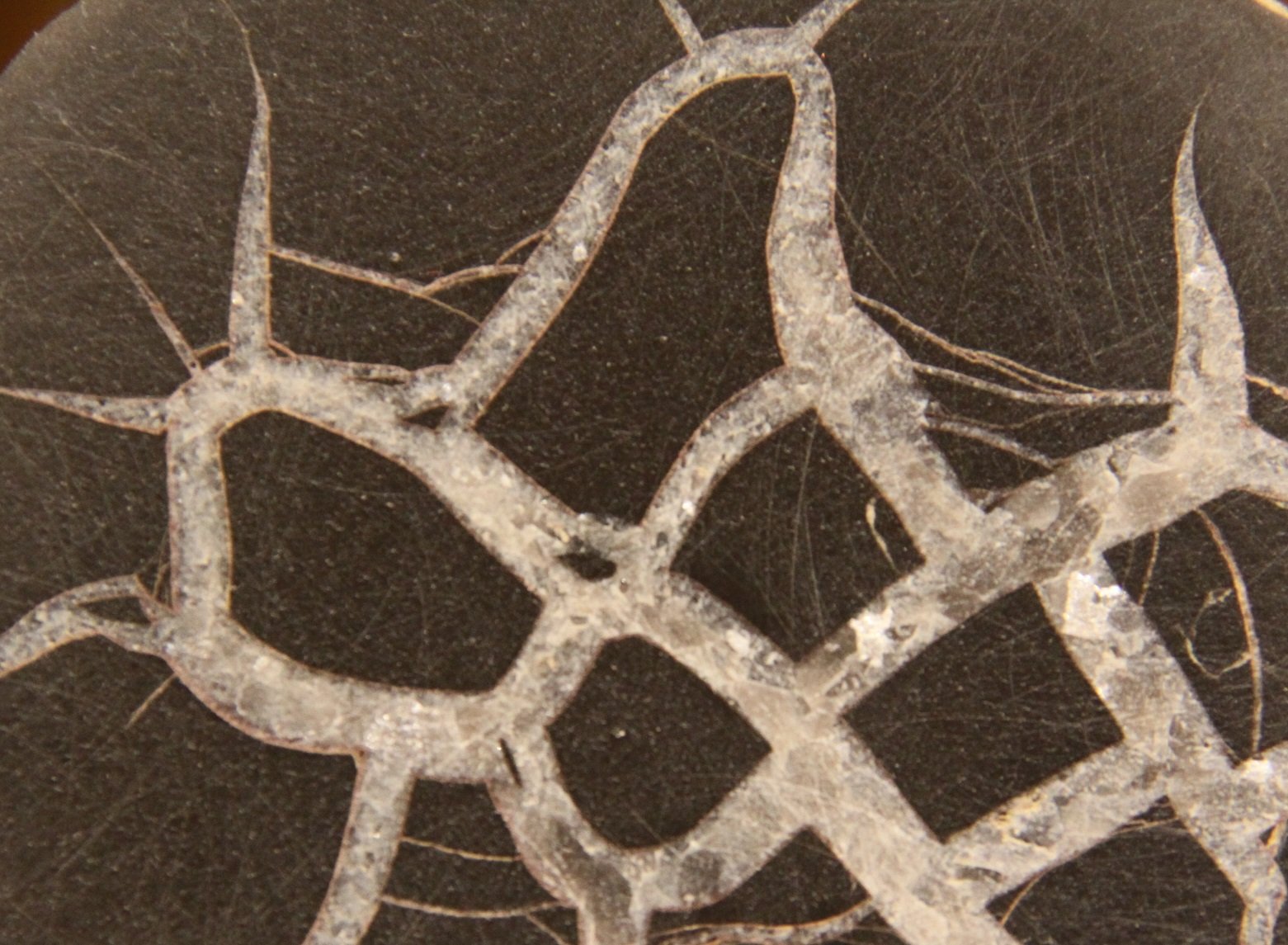 Calcite (septarian nodule)
9 cm x 8 cm x 5 cm
(Autor: Firmo Espinar)