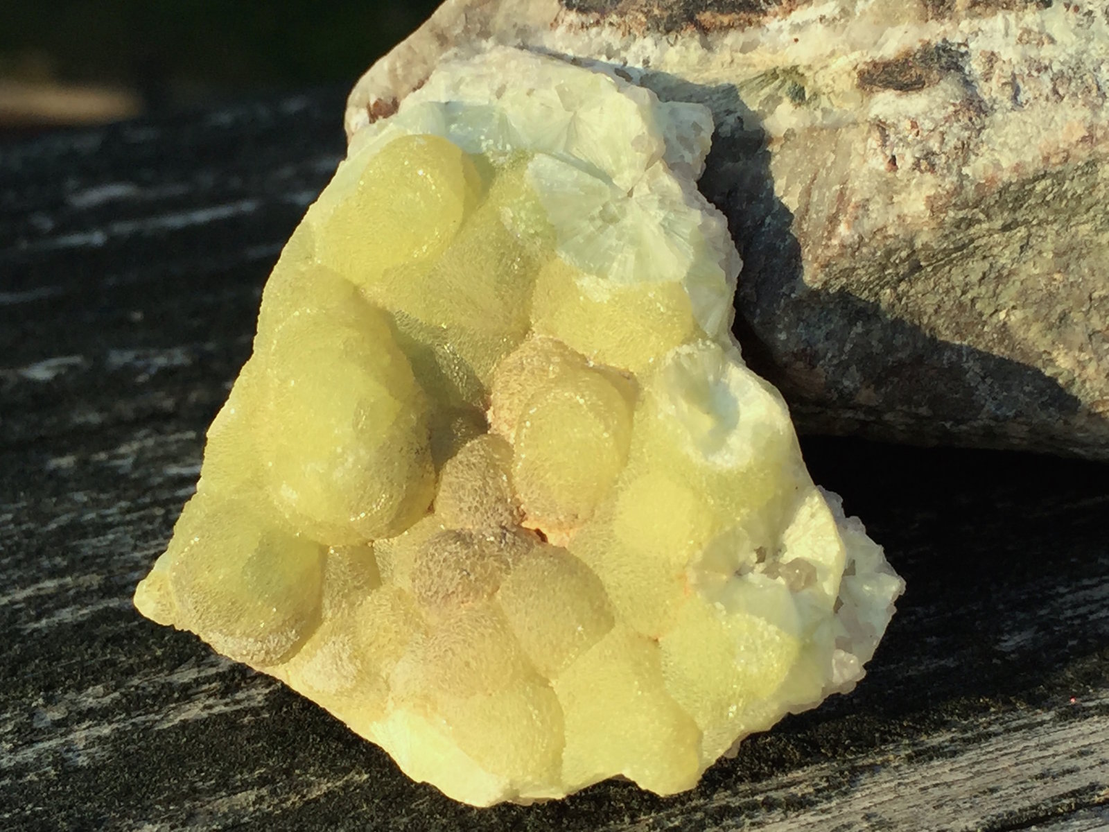 Wavellite
3.9 x 2.3 x 1.3 cm.
(Autor: steven calamuci)