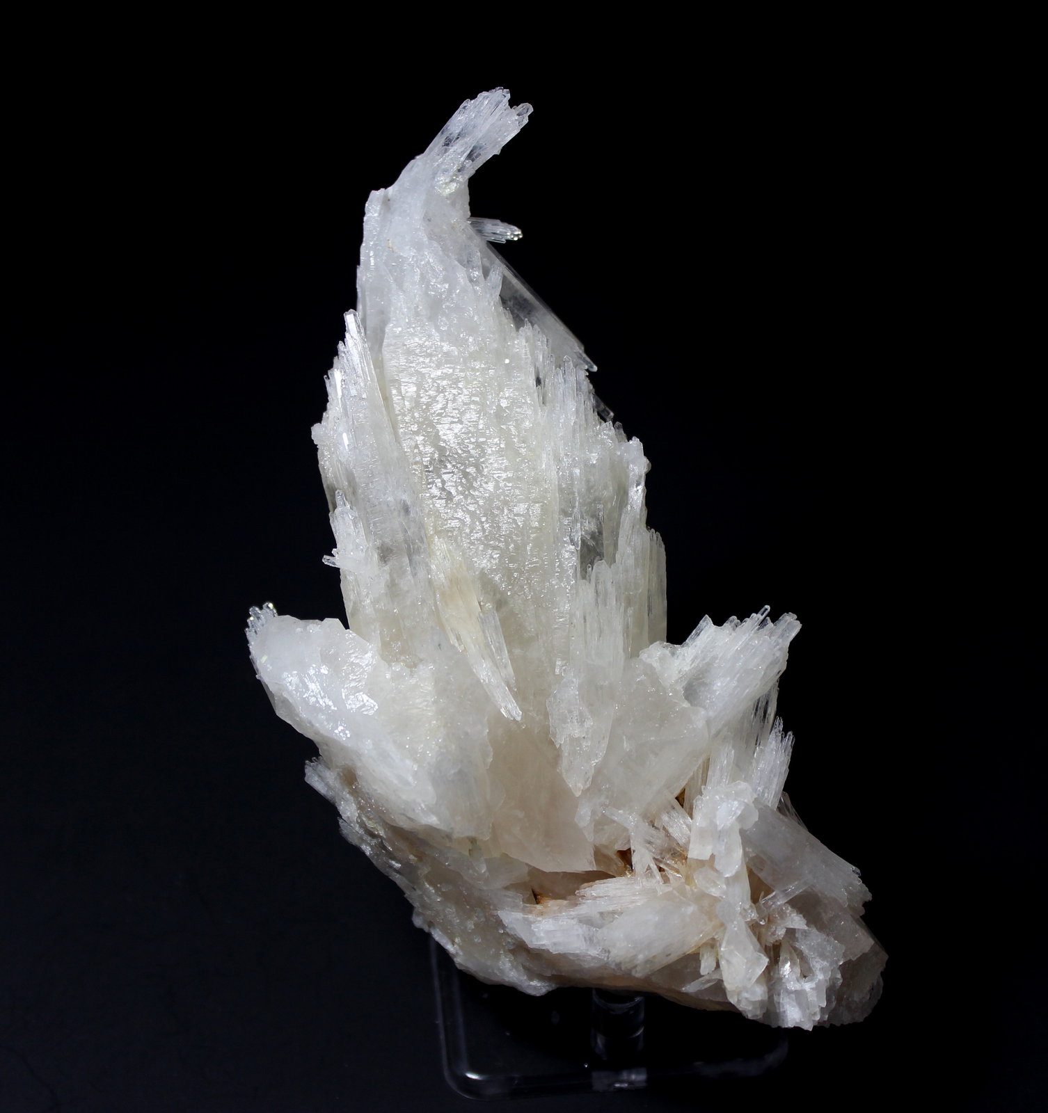 Quartz
136 mm x 105 mm x 55 mm
(Autor: Don Lum)