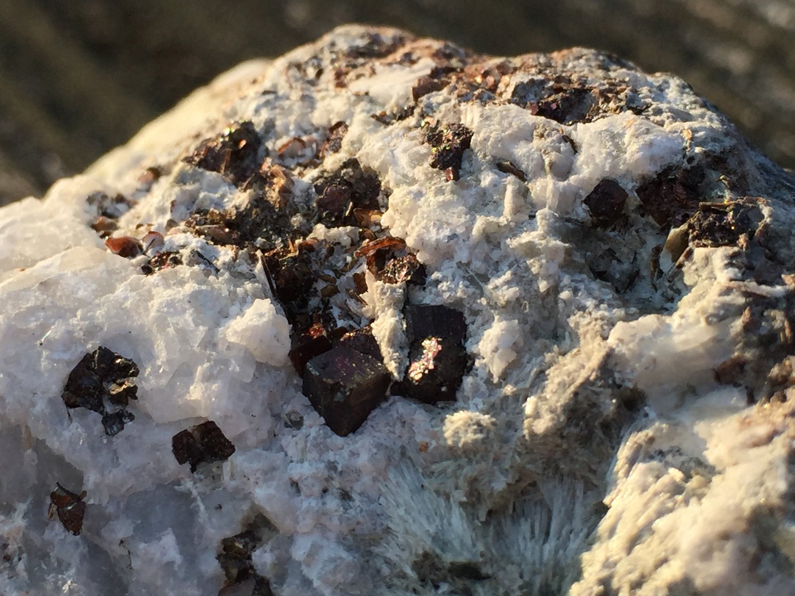Andradite
9.5 x 7.4 x 4.1 cm
(Autor: steven calamuci)