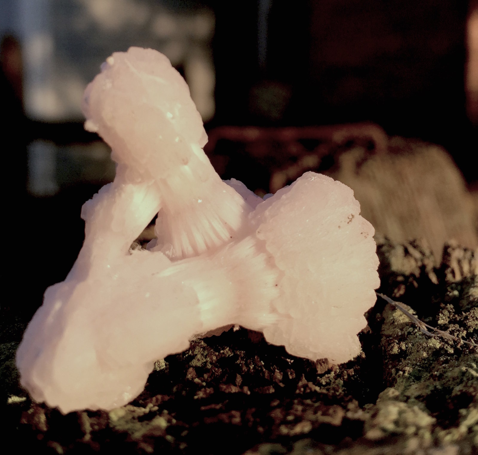 Calcite (variety manganoan) on Kutnohorite
2.5cm X 2.3cm x 1.3cm
(Autor: steven calamuci)