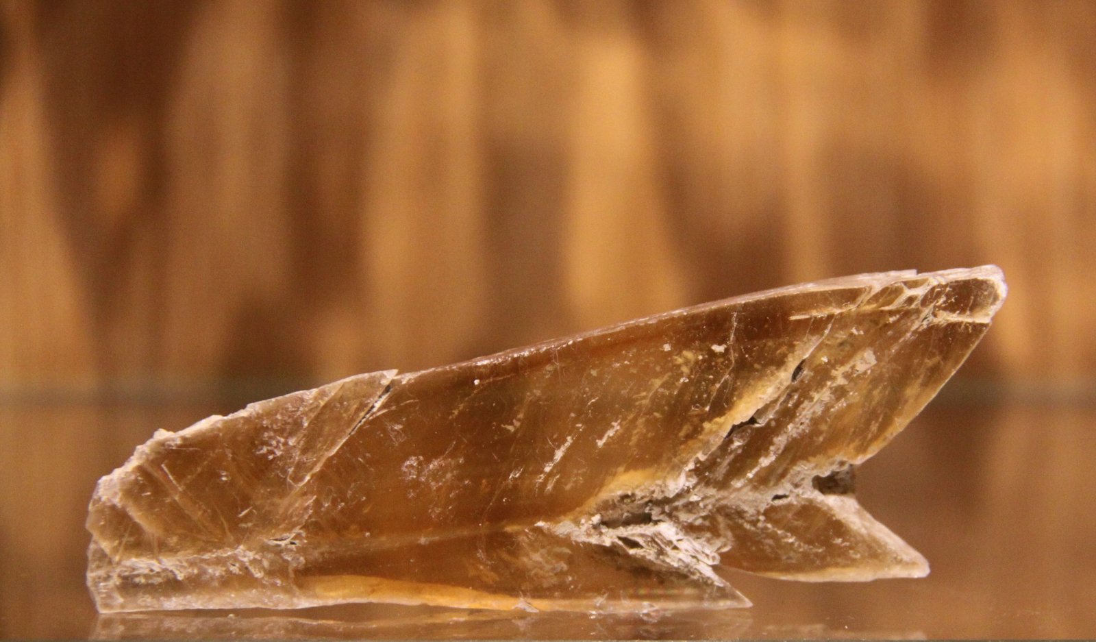 Gypsum
77mm x 32mm x 8mm
(Autor: Firmo Espinar)
