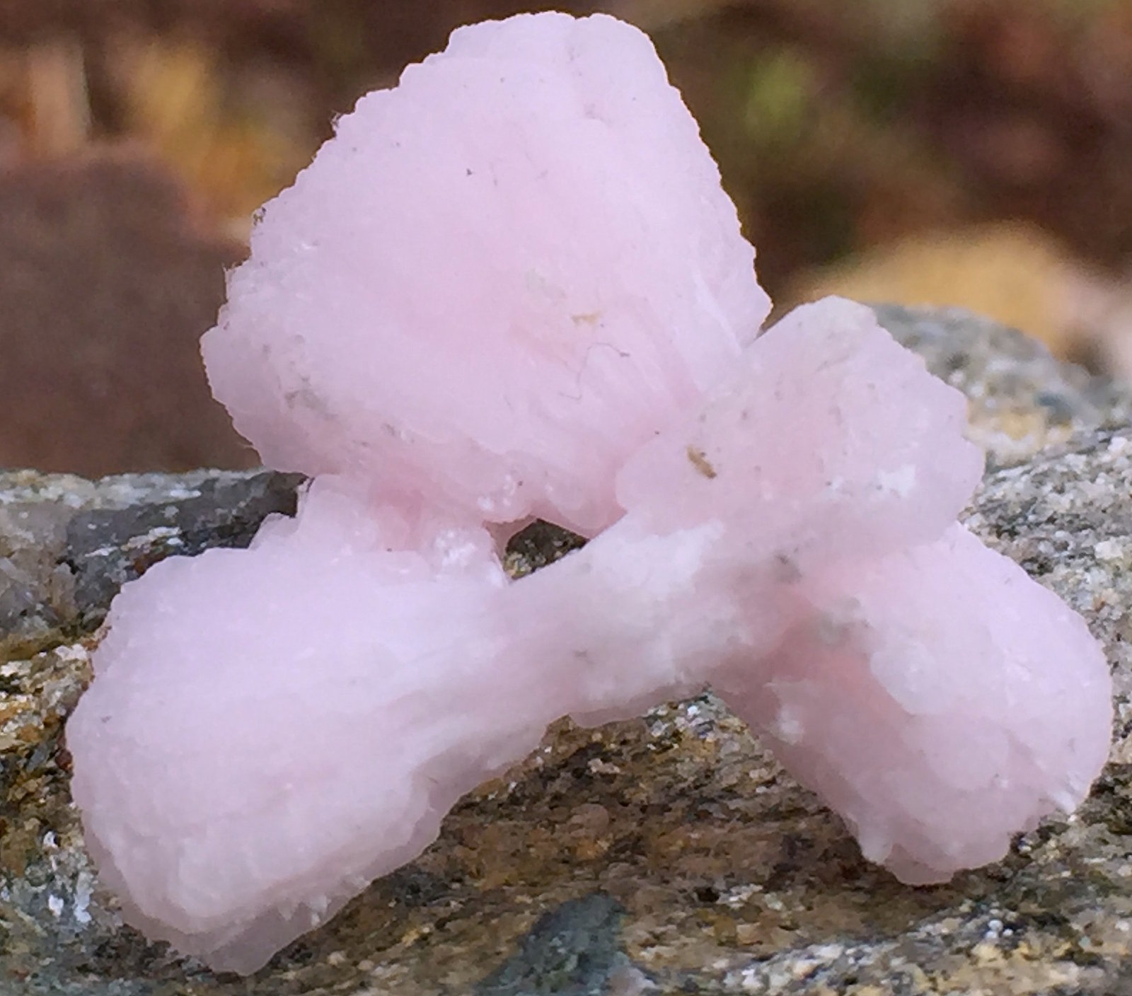Calcite (variety manganoan) on Kutnohorite
2.5cm X 2.3cm x 1.3cm
(Autor: steven calamuci)