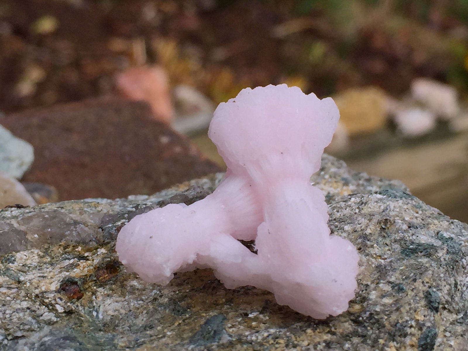 Calcite (variety manganoan) on Kutnohorite
2.5cm X 2.3cm x 1.3cm
(Autor: steven calamuci)