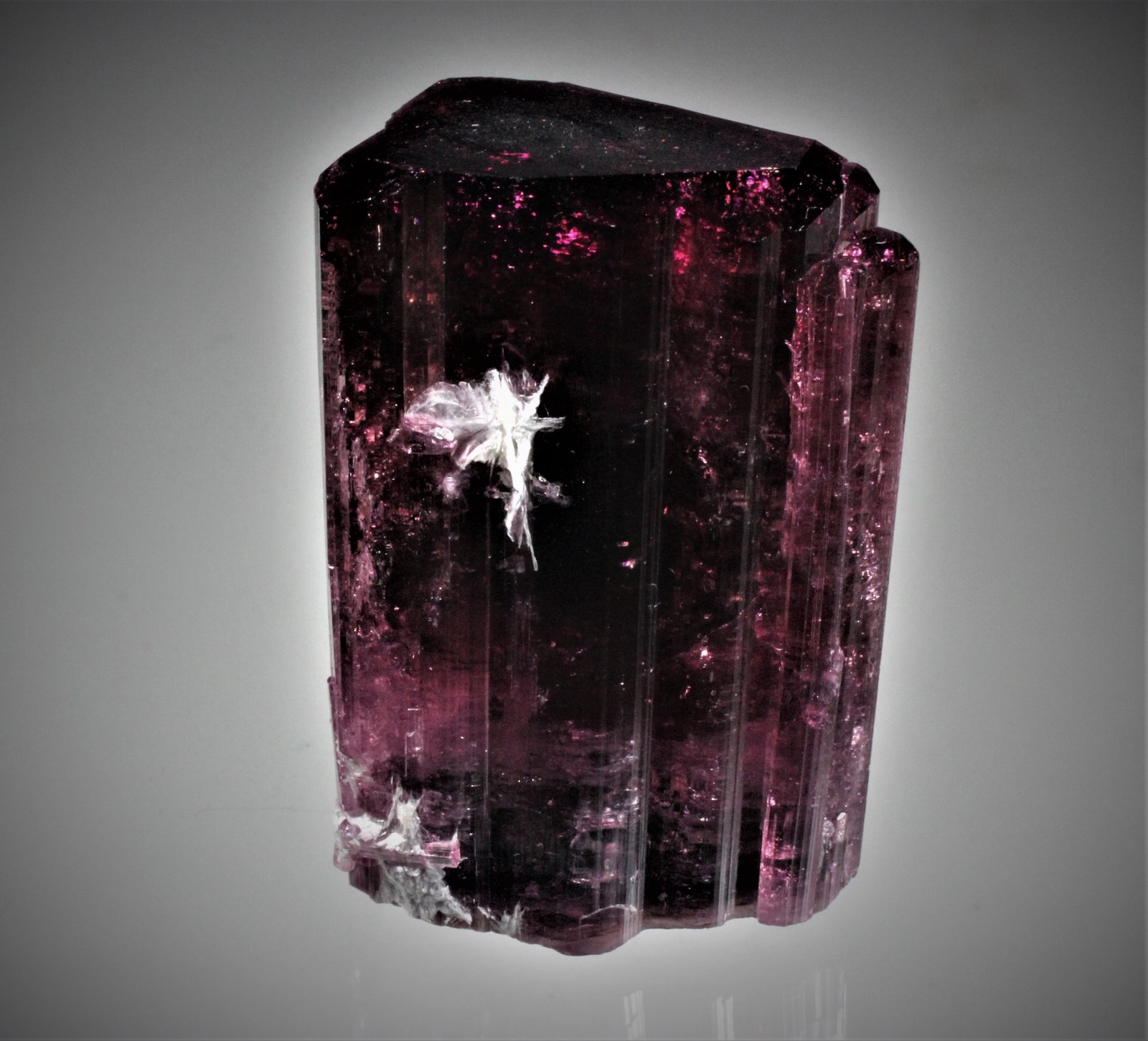 Elbaite (Tourmaline Group), Albite
68 mm x 48 mm x 45 mm
(Autor: Don Lum)