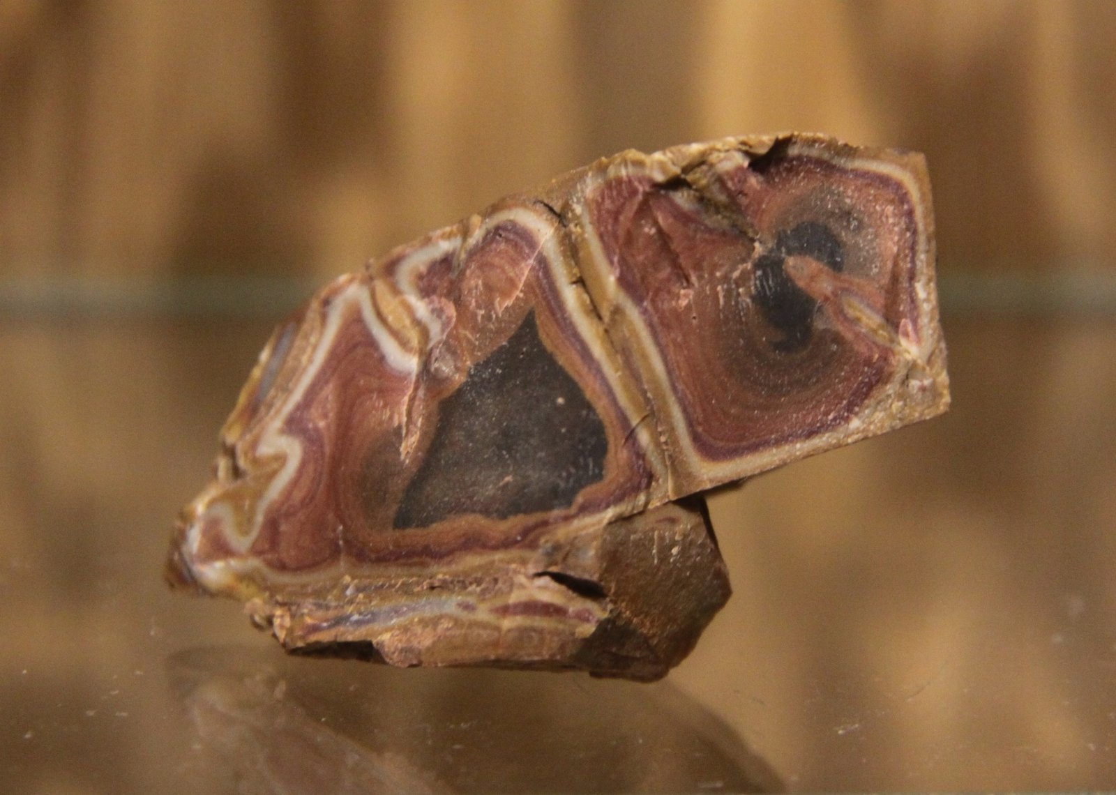 Quartz (variety agate)
42mm x 30mm x 34mm
(Autor: Firmo Espinar)