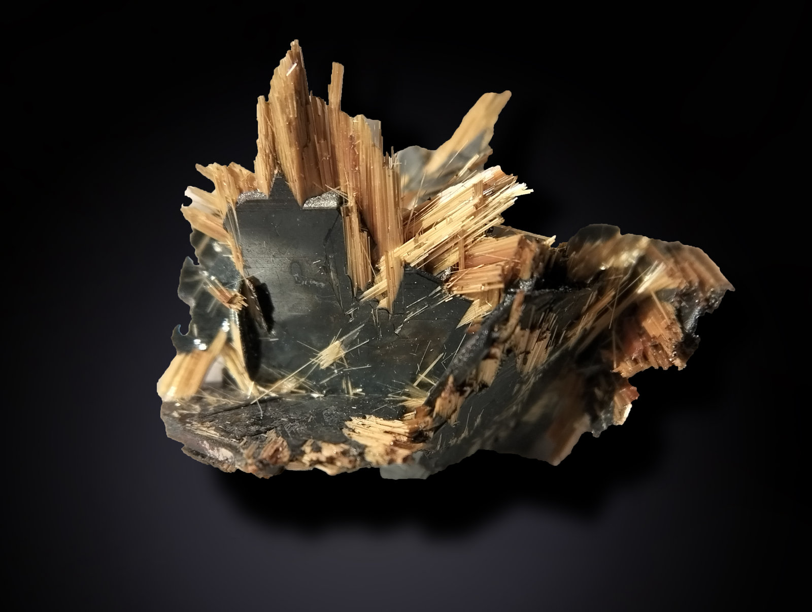 Rutile and Hematite
23 mm x 25 mm x 14 mm
(Autor: Firmo Espinar)