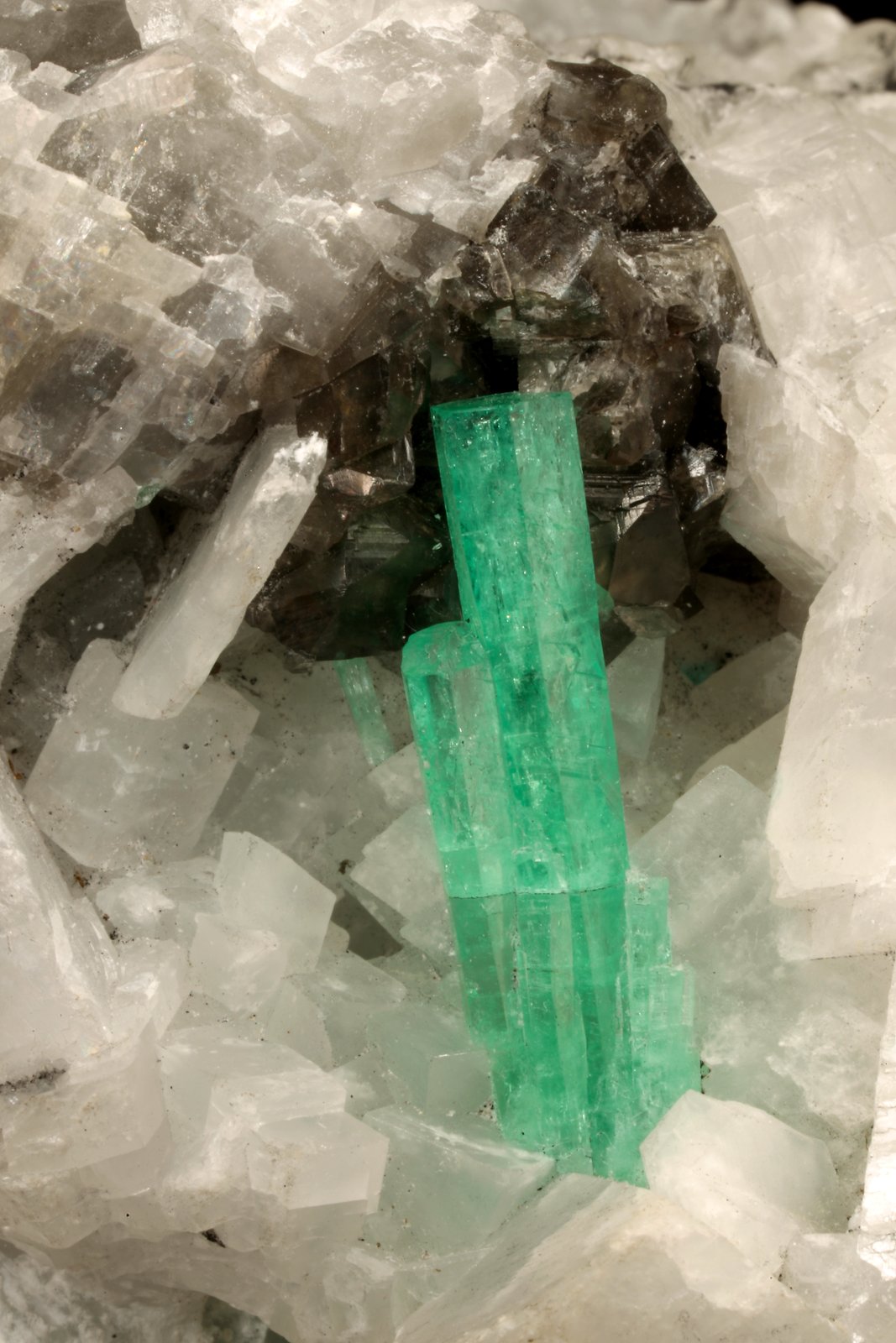 Beryl (variety emerald), Calcite
51x46x46mm, cluster=20mm
(Autor: Fiebre Verde)