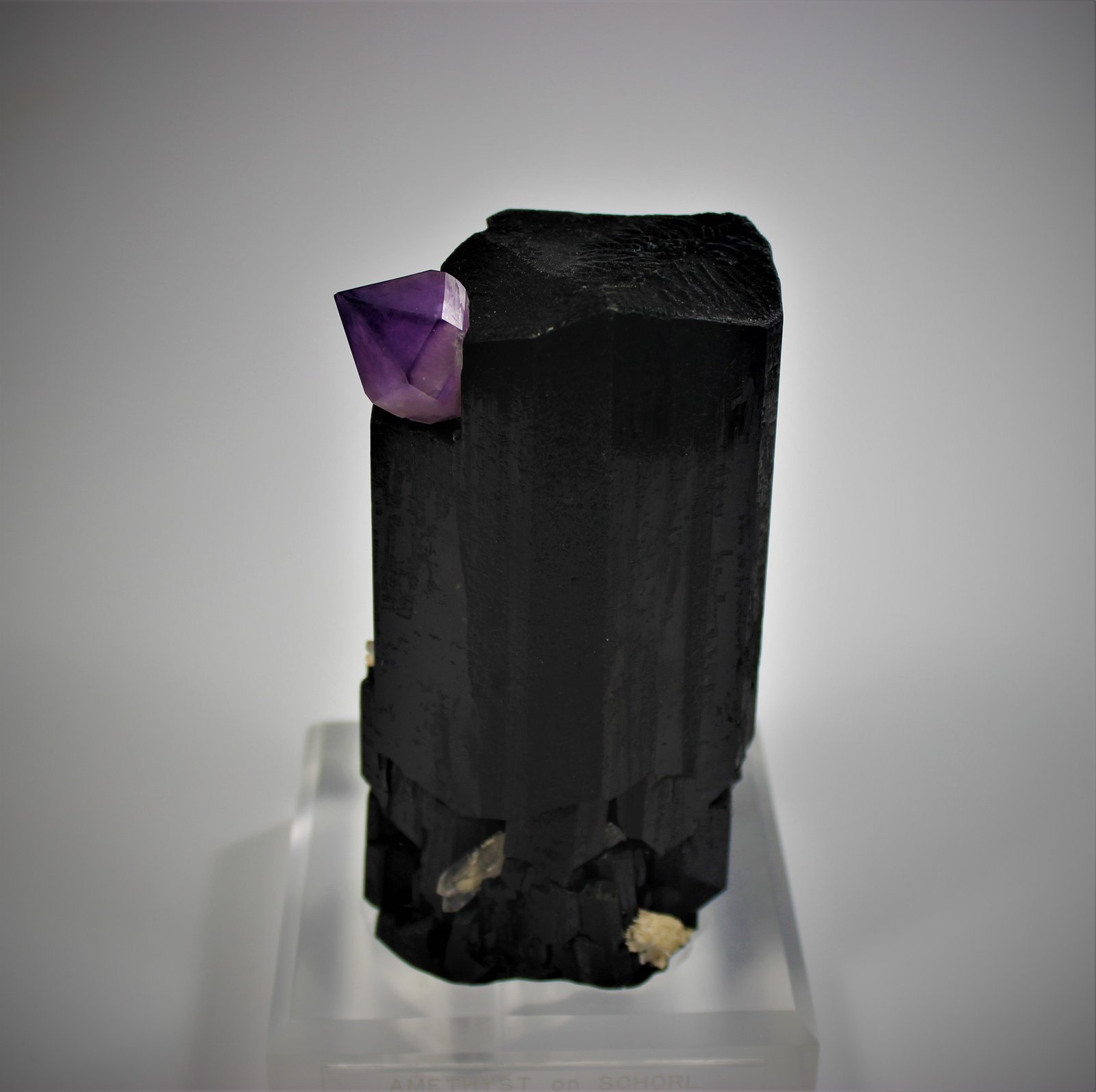 Schorl, Quartz (variety amethyst)
115 mm x 80 mm x 65 mm
(Autor: Don Lum)