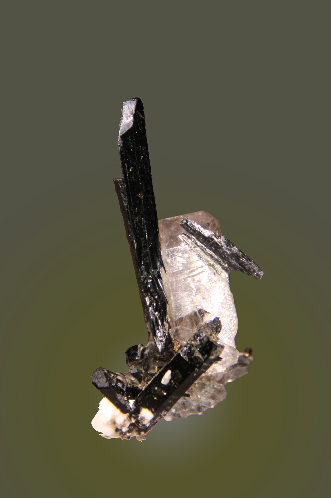 Aegirine, Quartz and Orthoclase
30mm x 55mm x 27mm
(Autor: Firmo Espinar)
