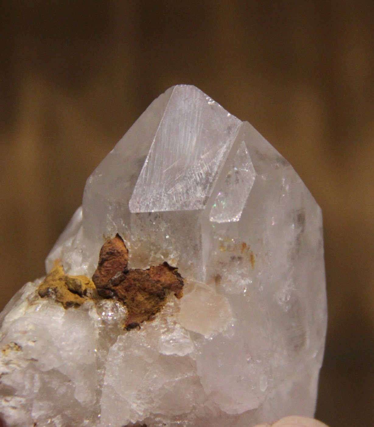 Quartz
37mm x 62mm x 29mm
(Autor: Firmo Espinar)