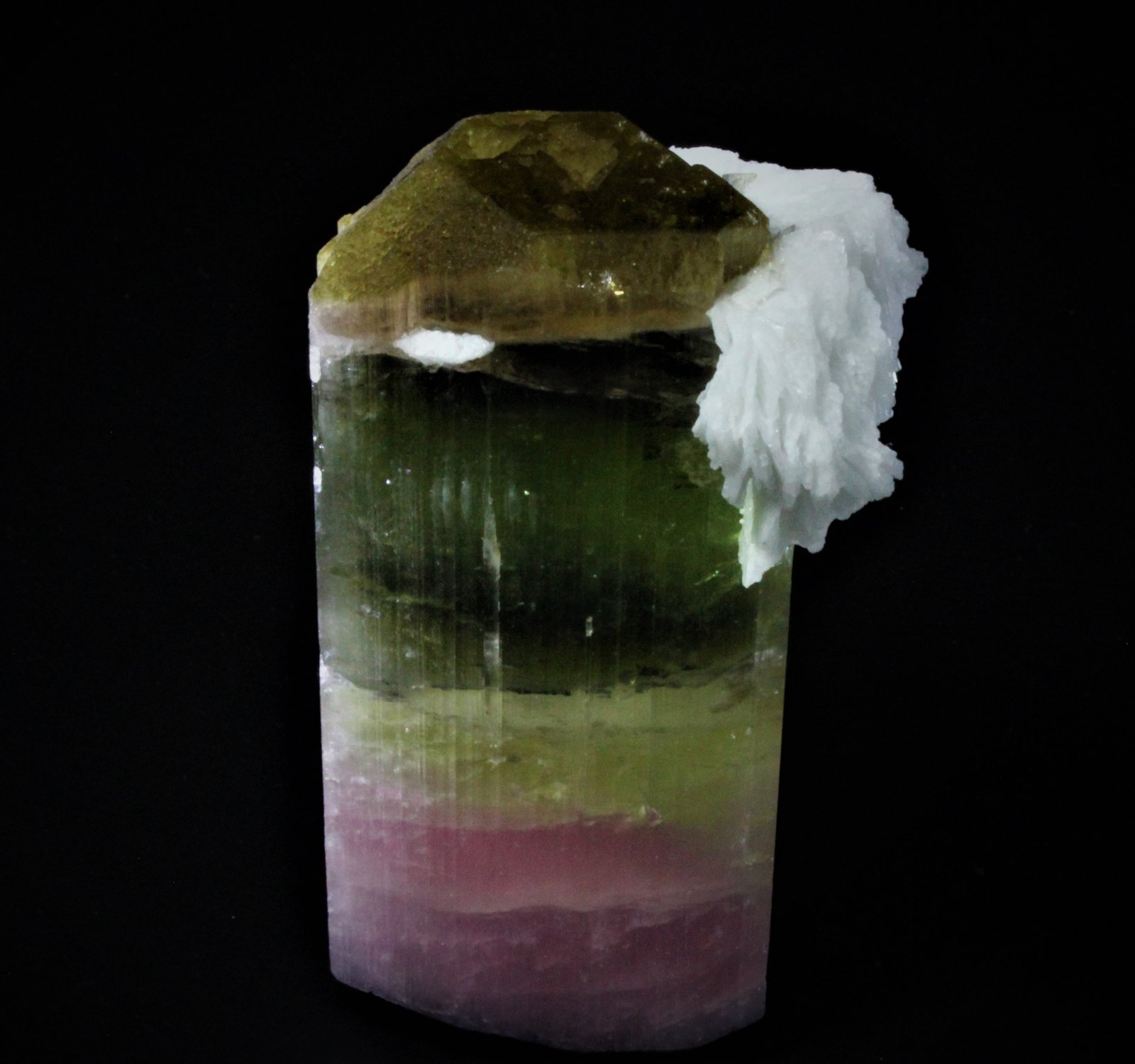 Elbaite (Tourmaline Group), Albite (variety cleavelandite)
92 mm x 52 mm
(Autor: Don Lum)