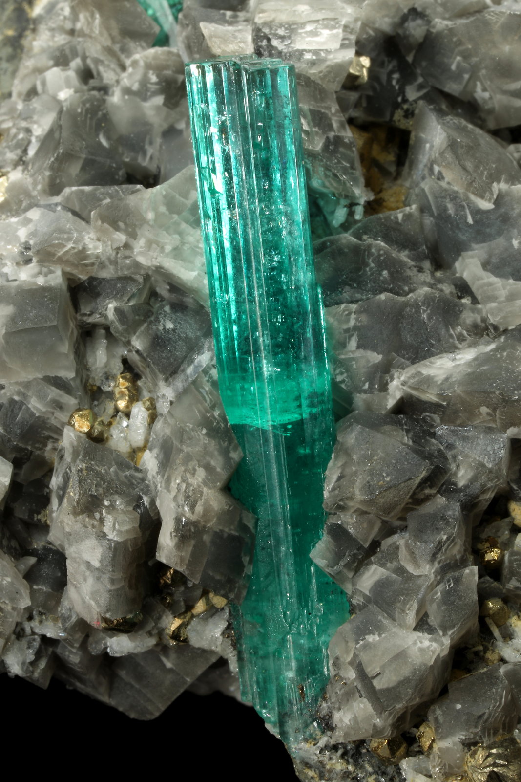 Beryl (variety emerald), Albite (variety cleavelandite), Dolomite, Pyrite
109x41x64mm, main xl=34mm
(Autor: Fiebre Verde)