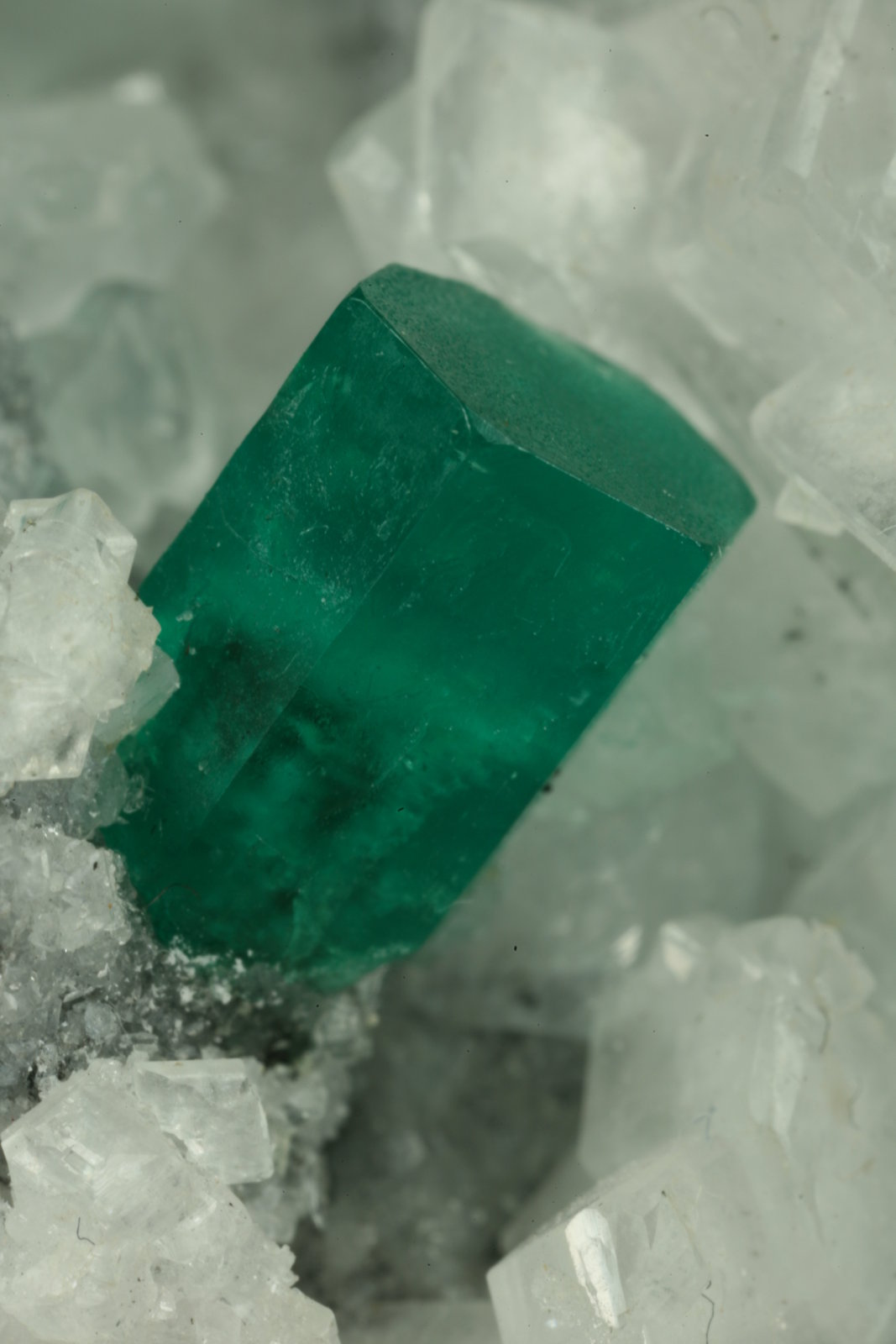 Beryl (variety emerald), Calcite, Parisite
70x45x50mm - Detail
(Autor: Fiebre Verde)