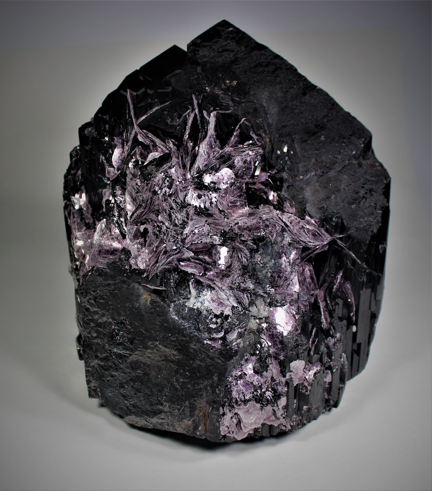 Schorl (Tourmaline Group), Muscovite
29 cm x 25 cm x 22.5 cm
(Autor: Don Lum)