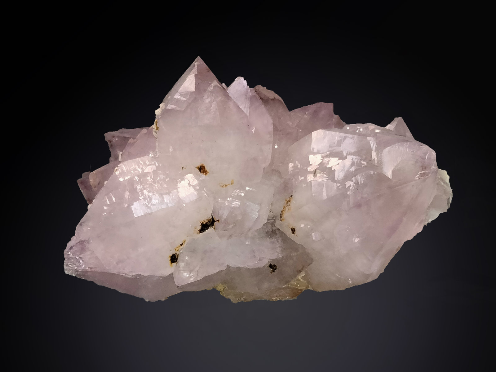 Quartz (variety amethyst)
63 mm x 42 mm x 40 mm
(Autor: Firmo Espinar)