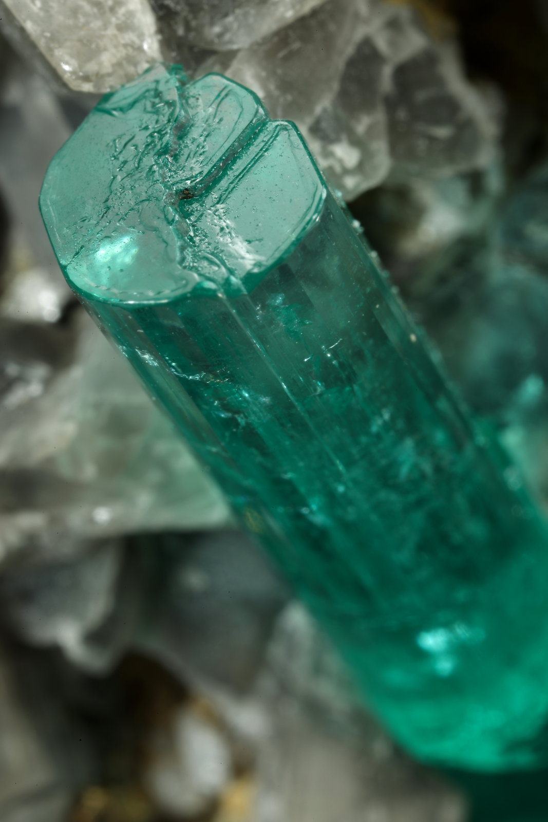 Beryl (variety emerald), Albite (variety cleavelandite), Dolomite, Pyrite
109x41x64mm, main xl=34mm
(Autor: Fiebre Verde)