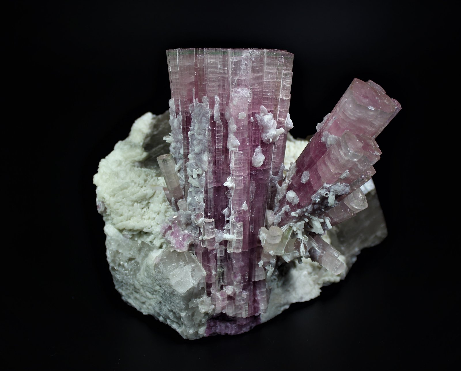 Elbaite (Tourmaline Group), Quartz (variety smoky quartz), Albite (variety cleavelandite)
22.5 cm x 22.2 cm x 17.2 cm
(Autor: Don Lum)