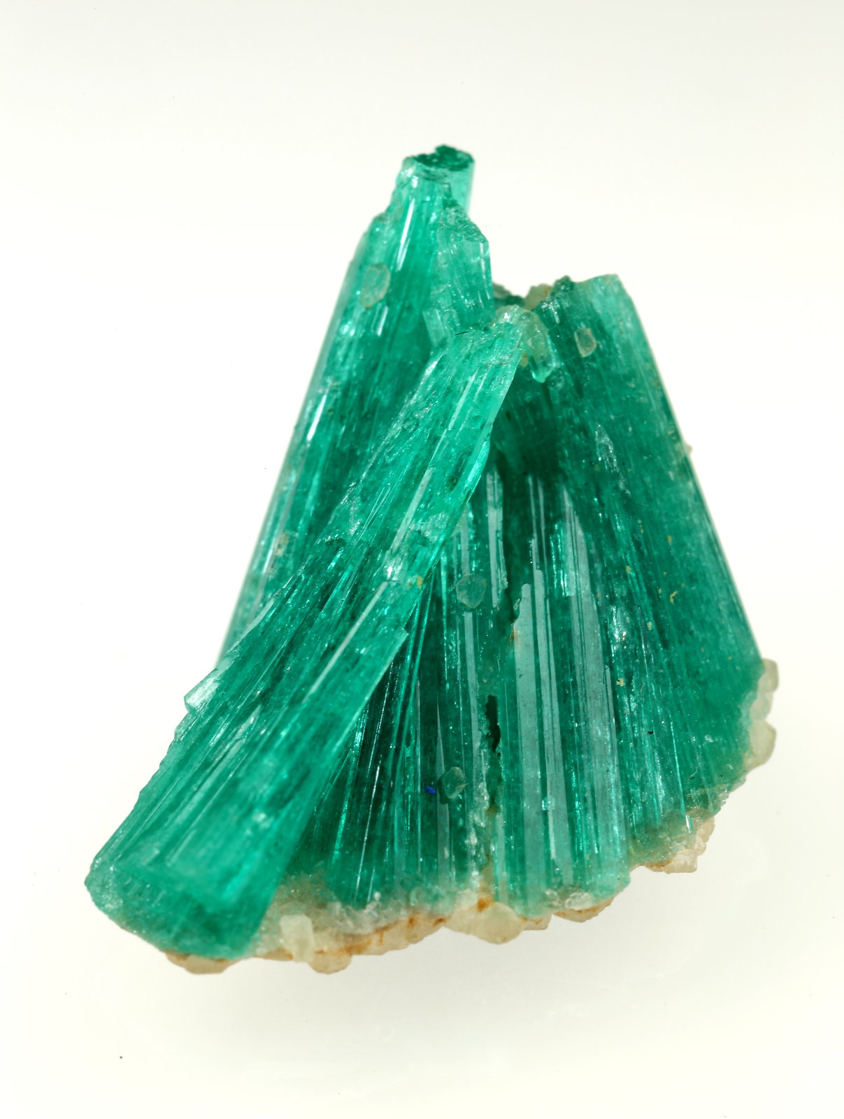 Beryl (variety emerald), Albite (variety cleavelandite)
20mm across
(Autor: Fiebre Verde)