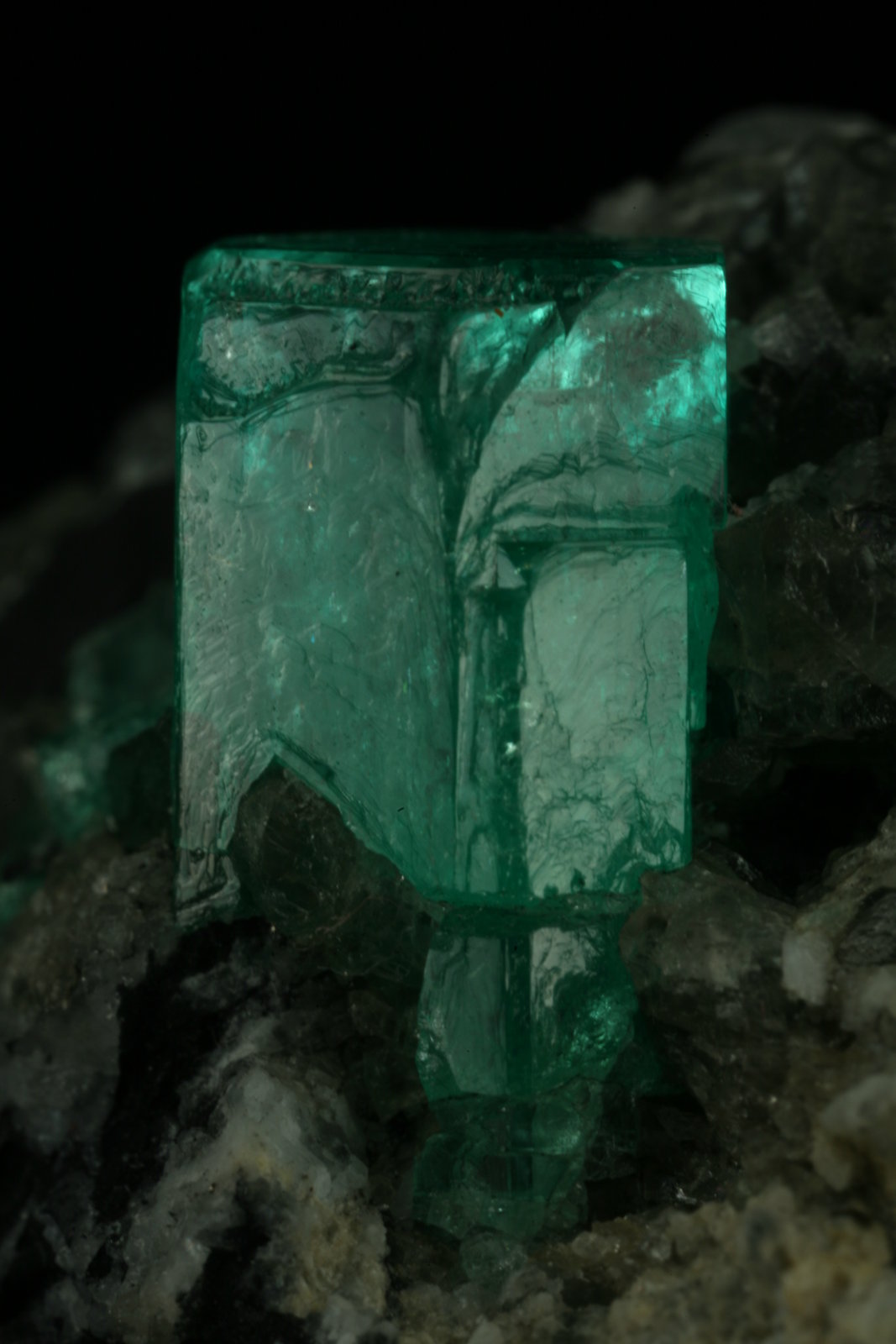 Beryl (variety emerald), Calcite
35x40x55mm
(Autor: Fiebre Verde)
