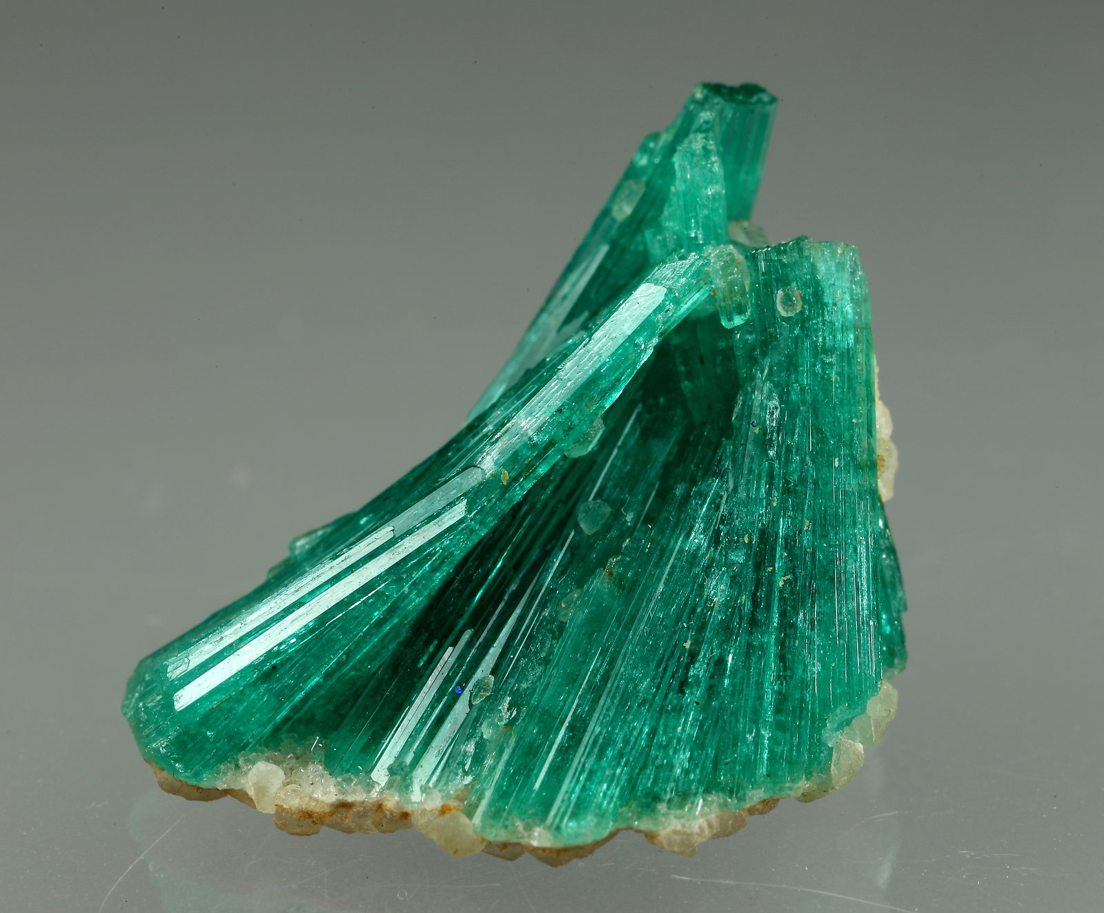 Beryl (variety emerald), Albite (variety cleavelandite)
20mm across
(Autor: Fiebre Verde)