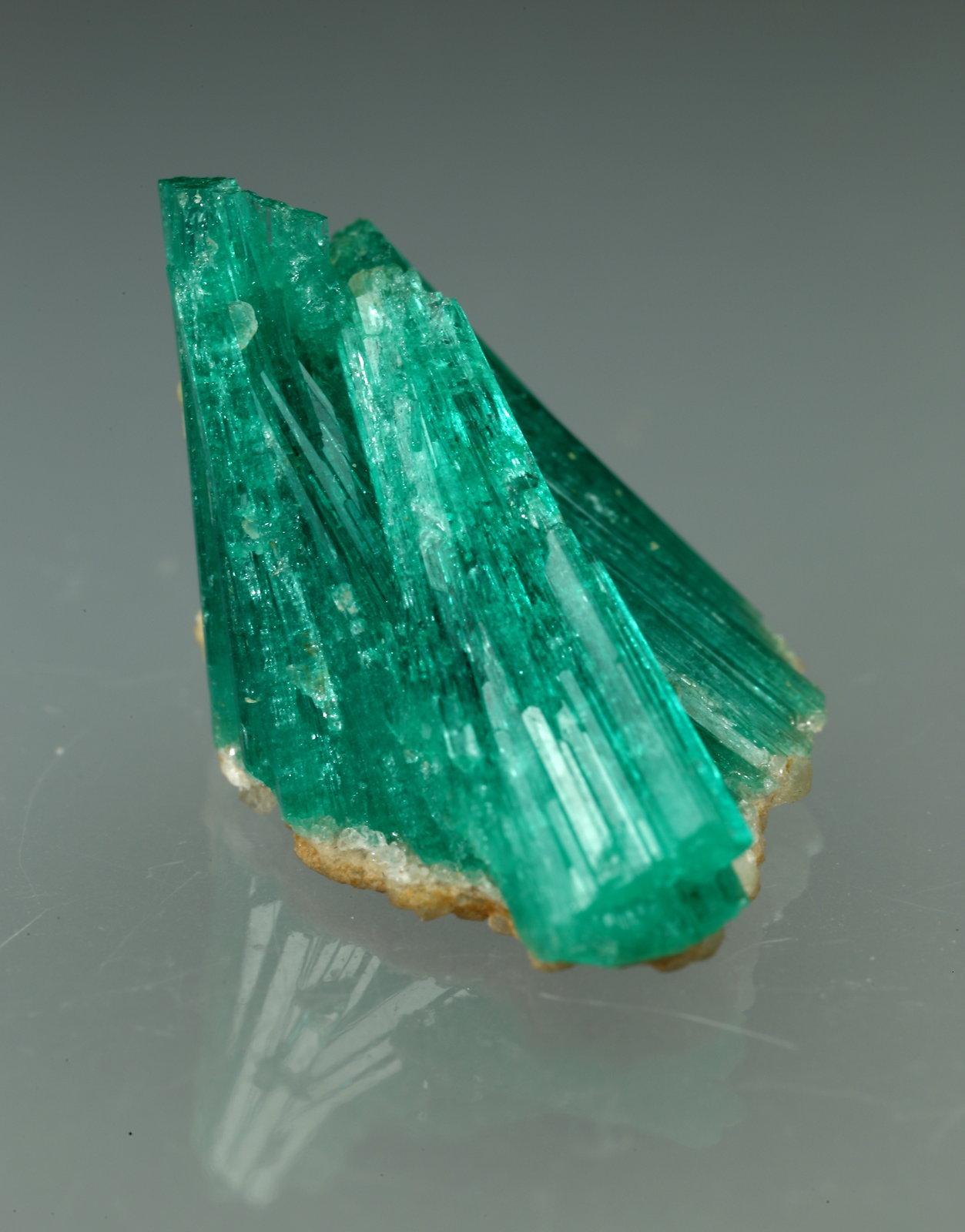 Beryl (variety emerald), Albite (variety cleavelandite)
20mm across
(Autor: Fiebre Verde)
