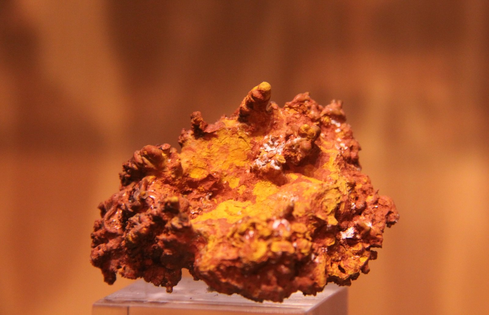 Goethite
40mm x 43mm x 18mm
(Autor: Firmo Espinar)