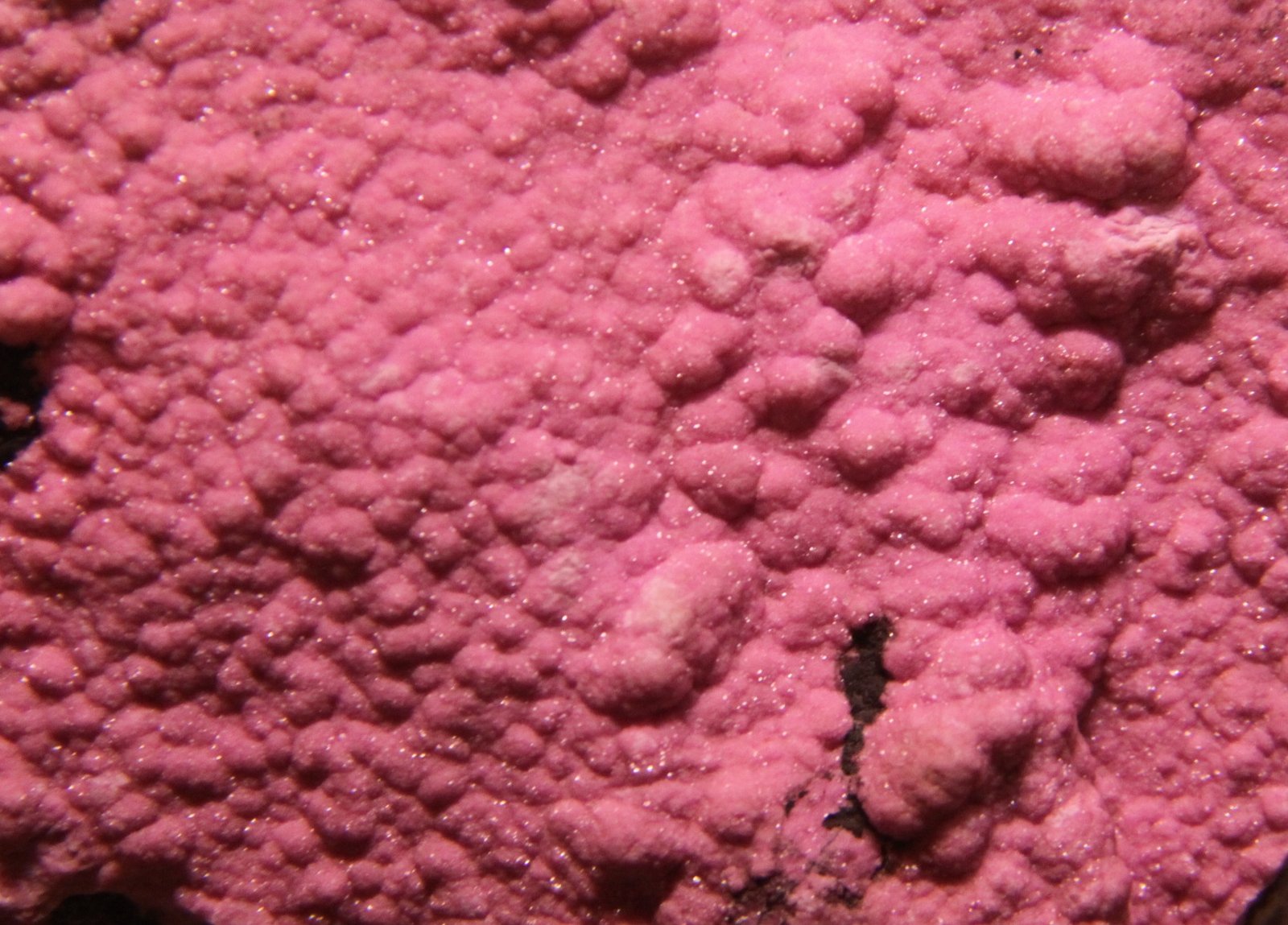 Dolomite (variety cobaltoan dolomite)
96mm x 74mm x 56mm
(Autor: Firmo Espinar)
