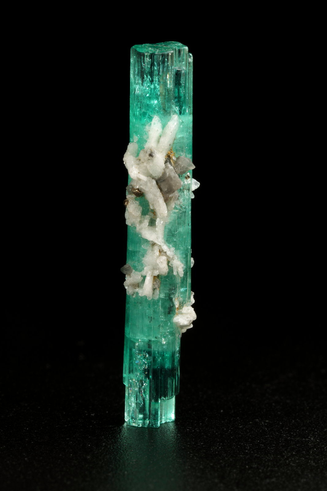 Beryl (variety emerald), Albite (variety cleavelandite), Pyrite, Calcite
33mm
(Autor: Fiebre Verde)