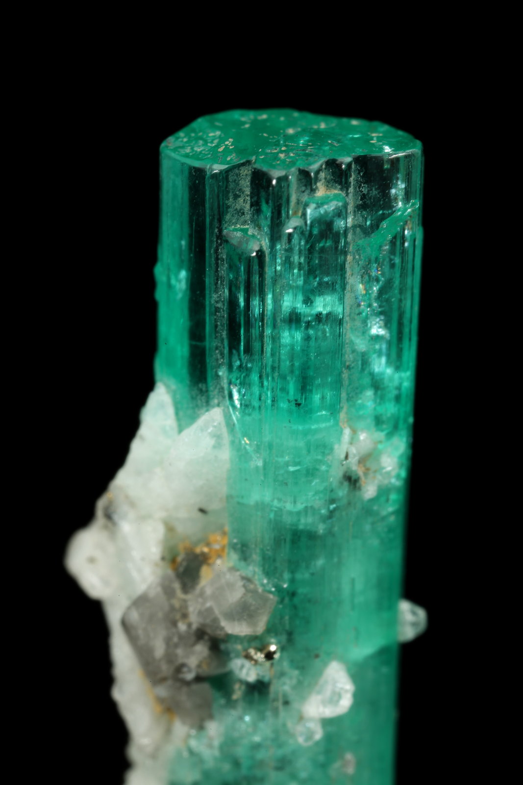 Beryl (variety emerald), Albite (variety cleavelandite), Pyrite, Calcite
33mm
(Autor: Fiebre Verde)