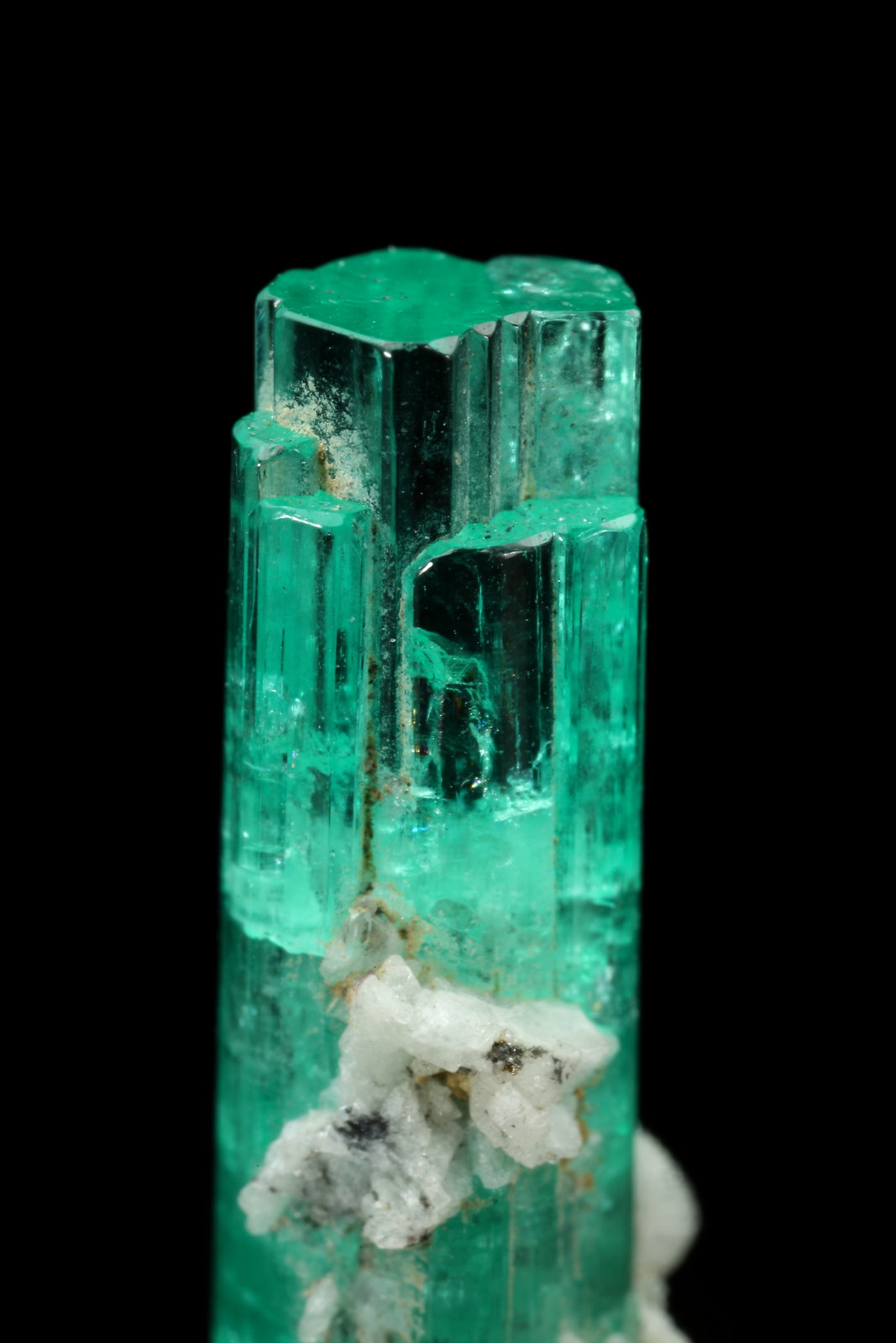 Beryl (variety emerald), Albite (variety cleavelandite), Pyrite, Calcite
33mm
(Autor: Fiebre Verde)