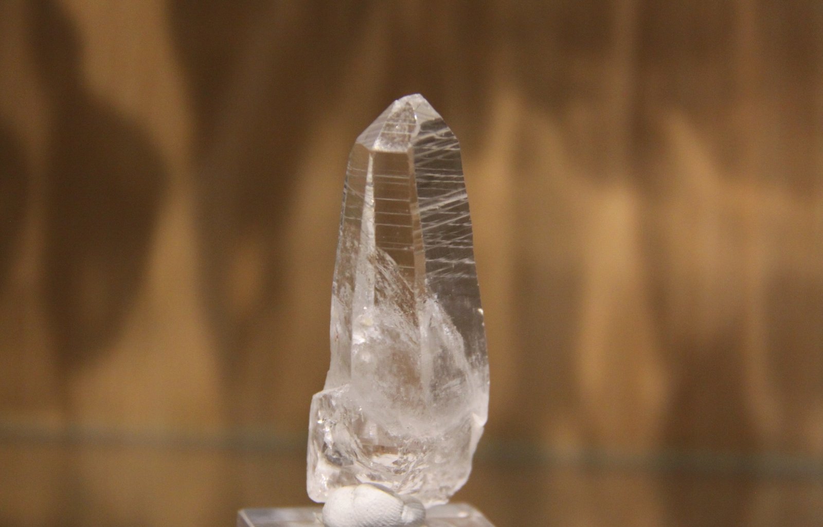 Quartz
25mm x 54mm x 19mm
(Autor: Firmo Espinar)