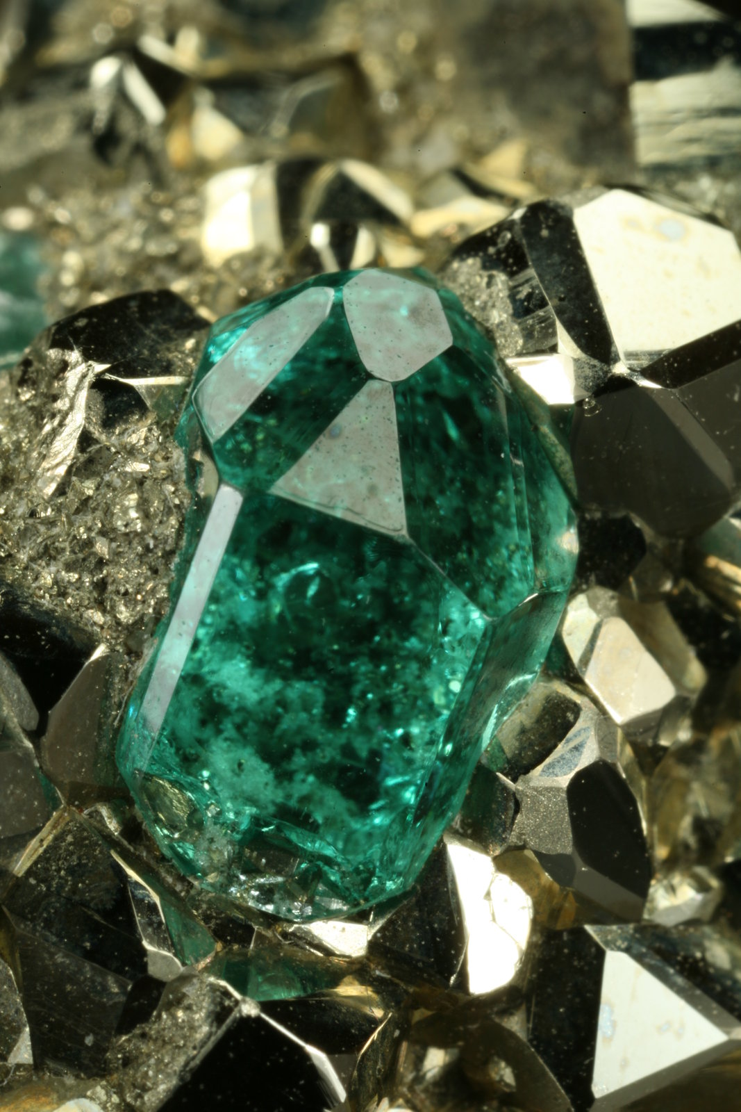 Beryl (variety emerald) and Pyrite
Detail - xl length=6mm
(Autor: Fiebre Verde)