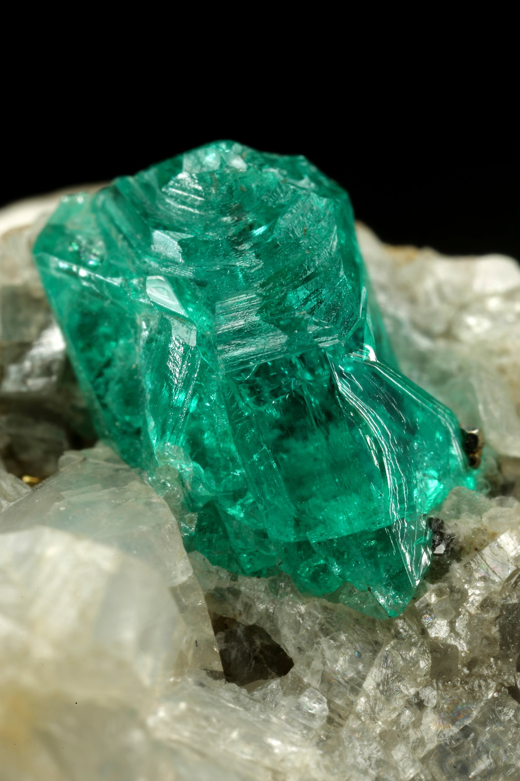 Beryl (variety emerald), Calcite, Pyrite
35x23x20mm, xl=9mm
(Autor: Fiebre Verde)
