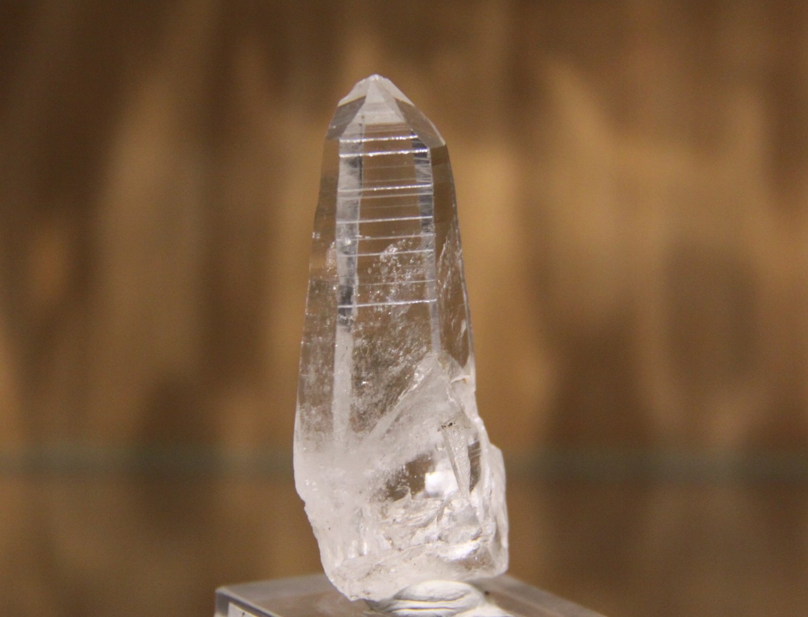 Quartz
25mm x 54mm x 19mm
(Autor: Firmo Espinar)