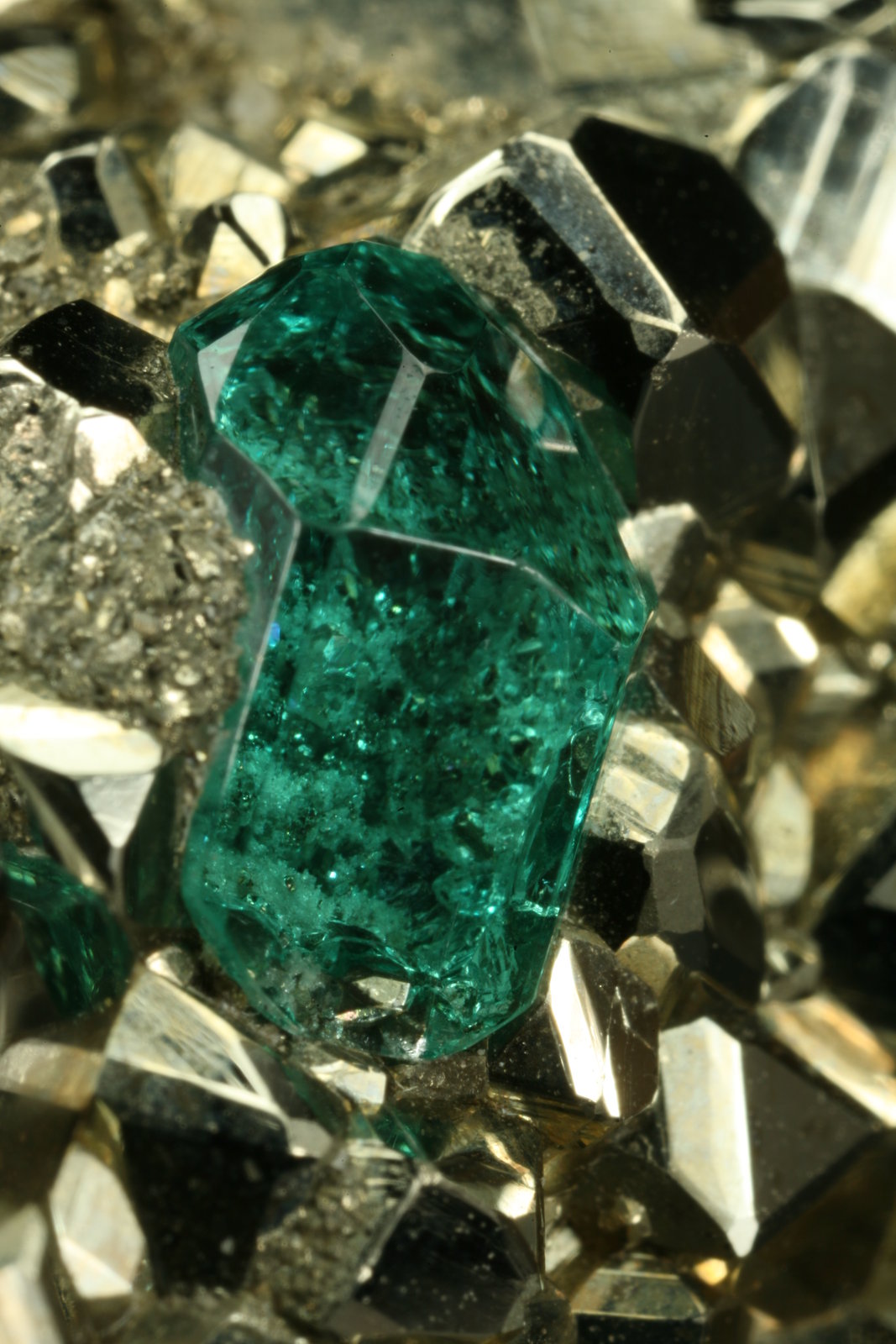 Beryl (variety emerald) and Pyrite
Detail - xl length=6mm
(Autor: Fiebre Verde)