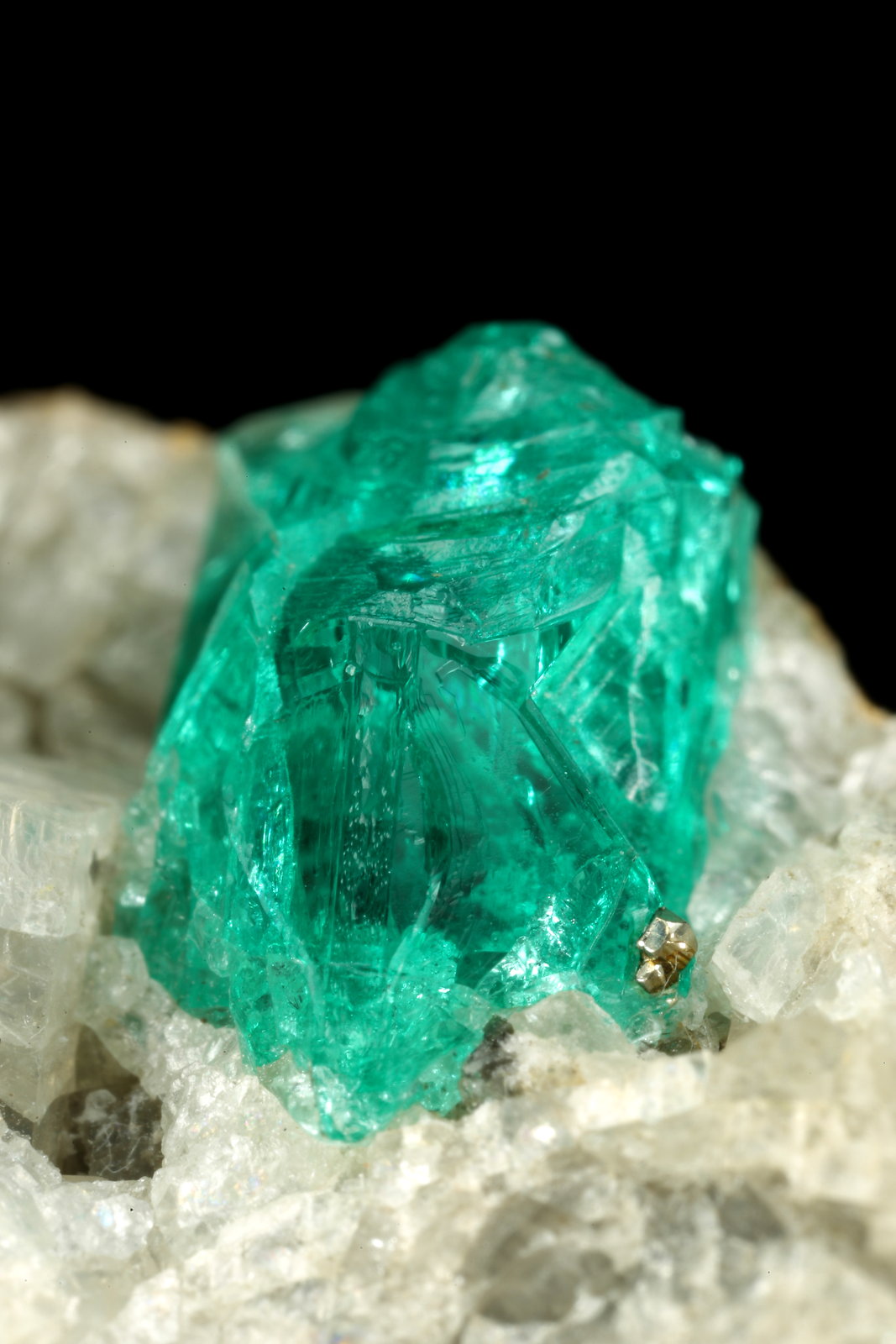Beryl (variety emerald), Calcite, Pyrite
35x23x20mm, xl=9mm
(Autor: Fiebre Verde)