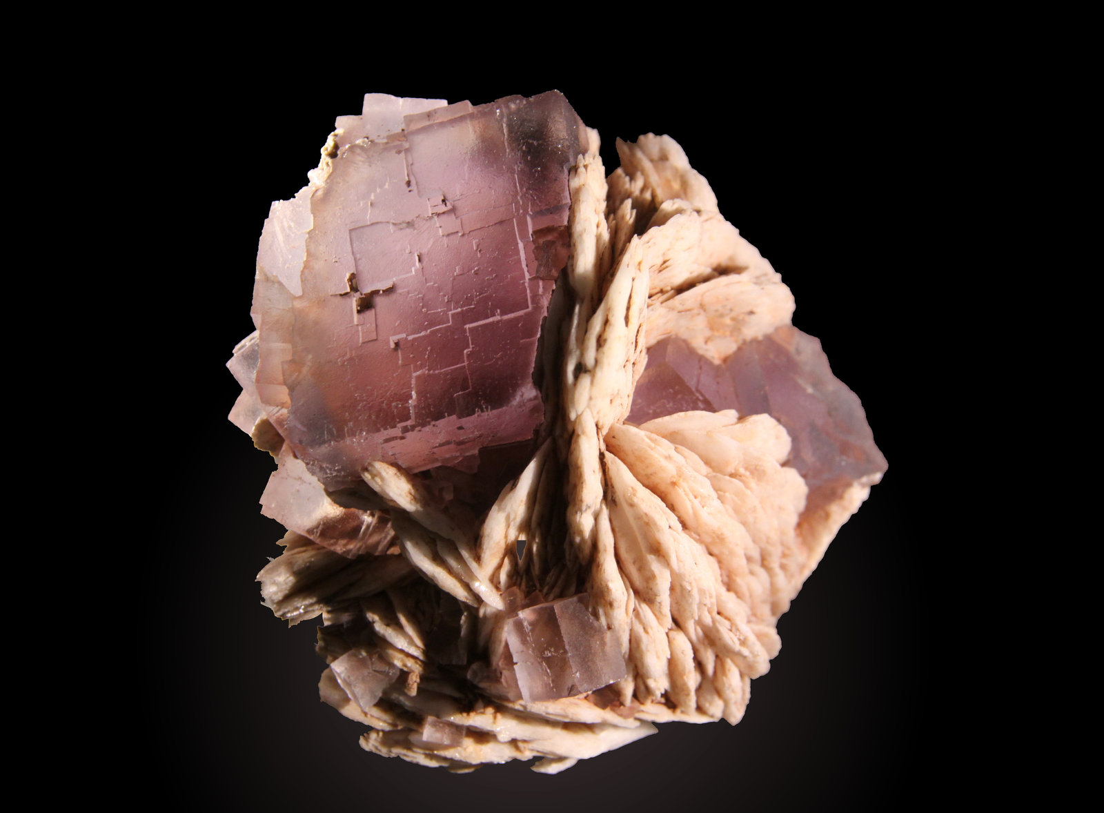 Fluorite
92mm x 82mm x 67mm. Main crystal is 45 mm on edge.
(Autor: Firmo Espinar)
