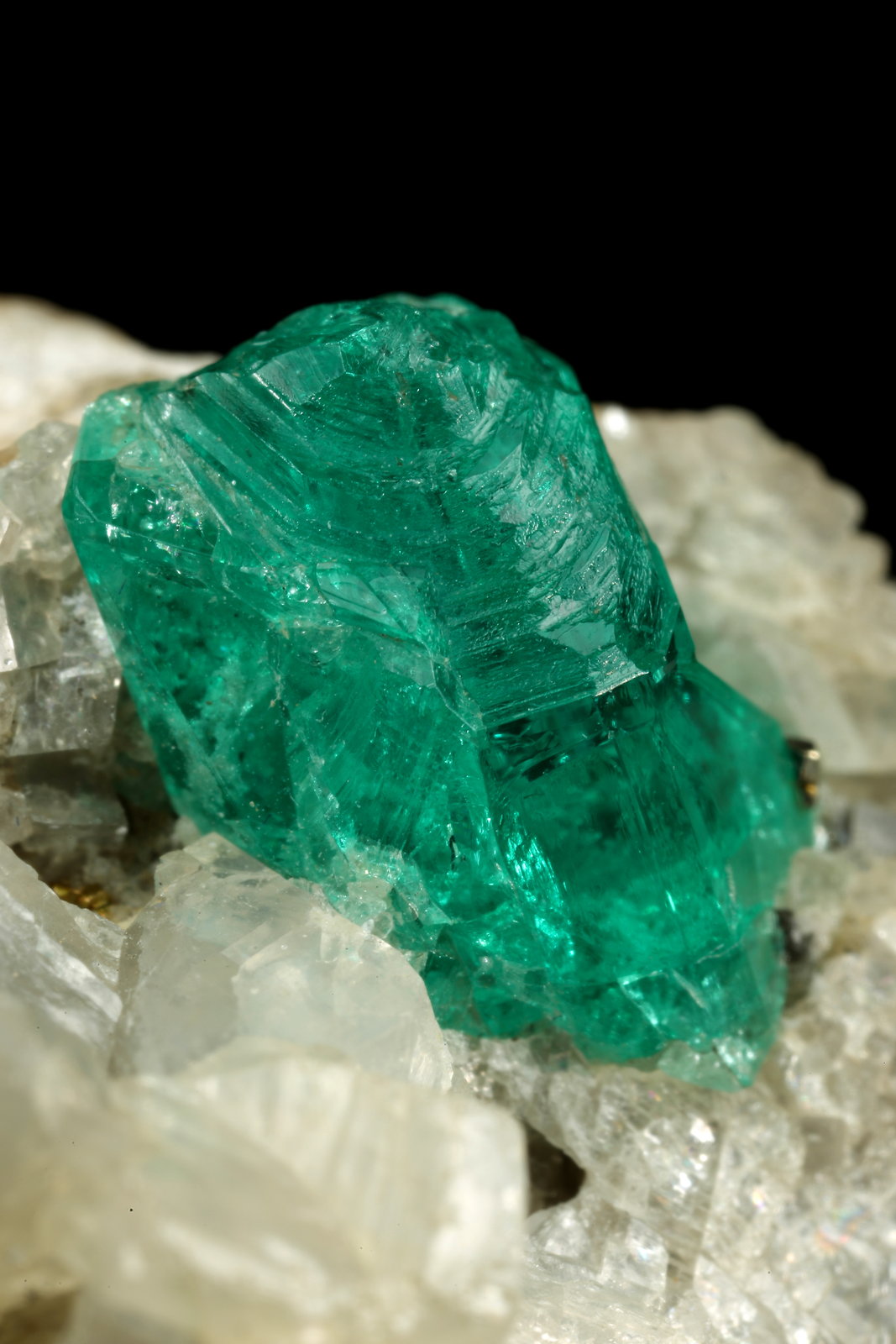 Beryl (variety emerald), Calcite, Pyrite
35x23x20mm, xl=9mm
(Autor: Fiebre Verde)