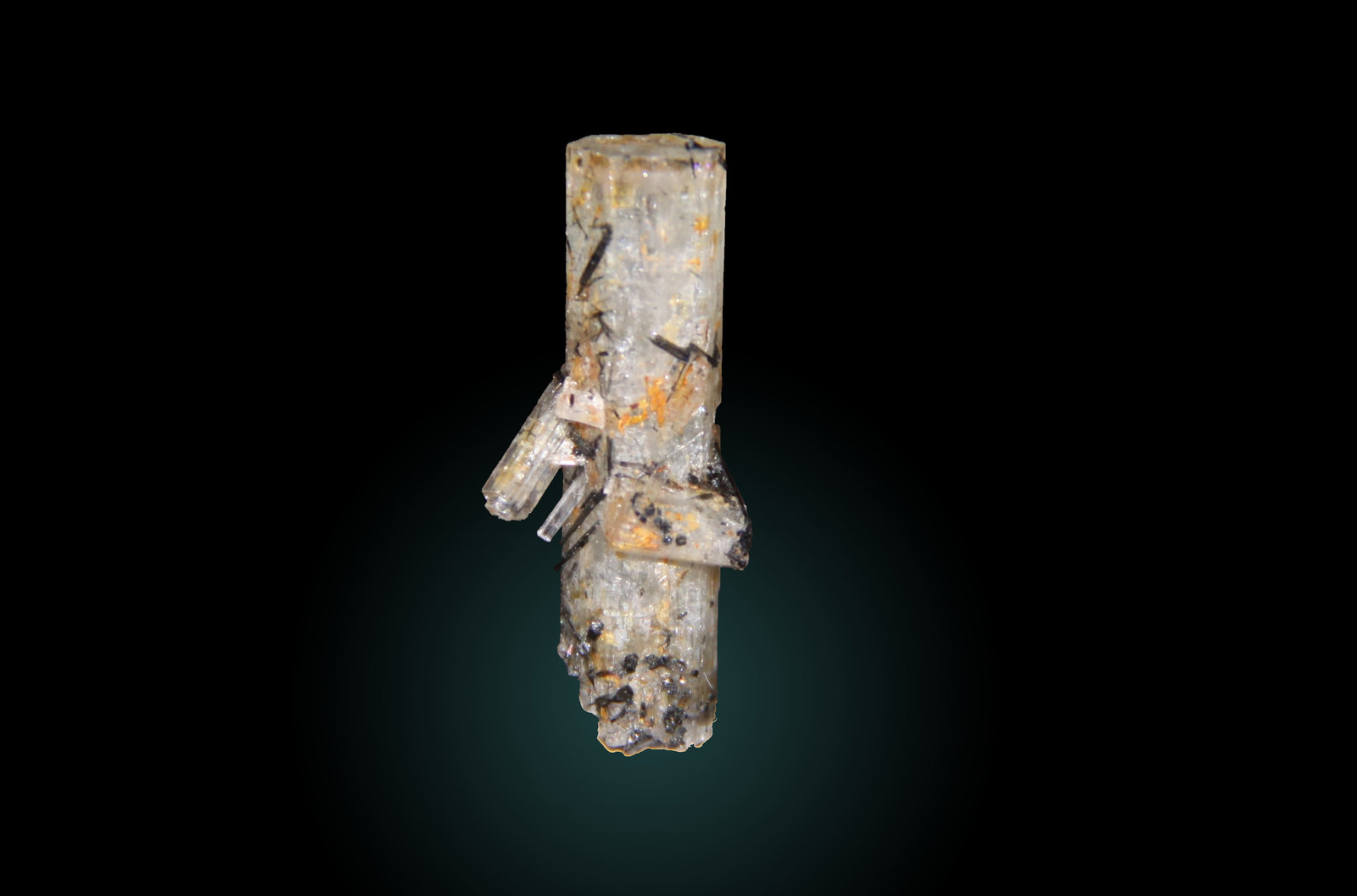 Beryl (variety aquamarine) and Schorl
14mm x 32mm x 9mm
(Autor: Firmo Espinar)
